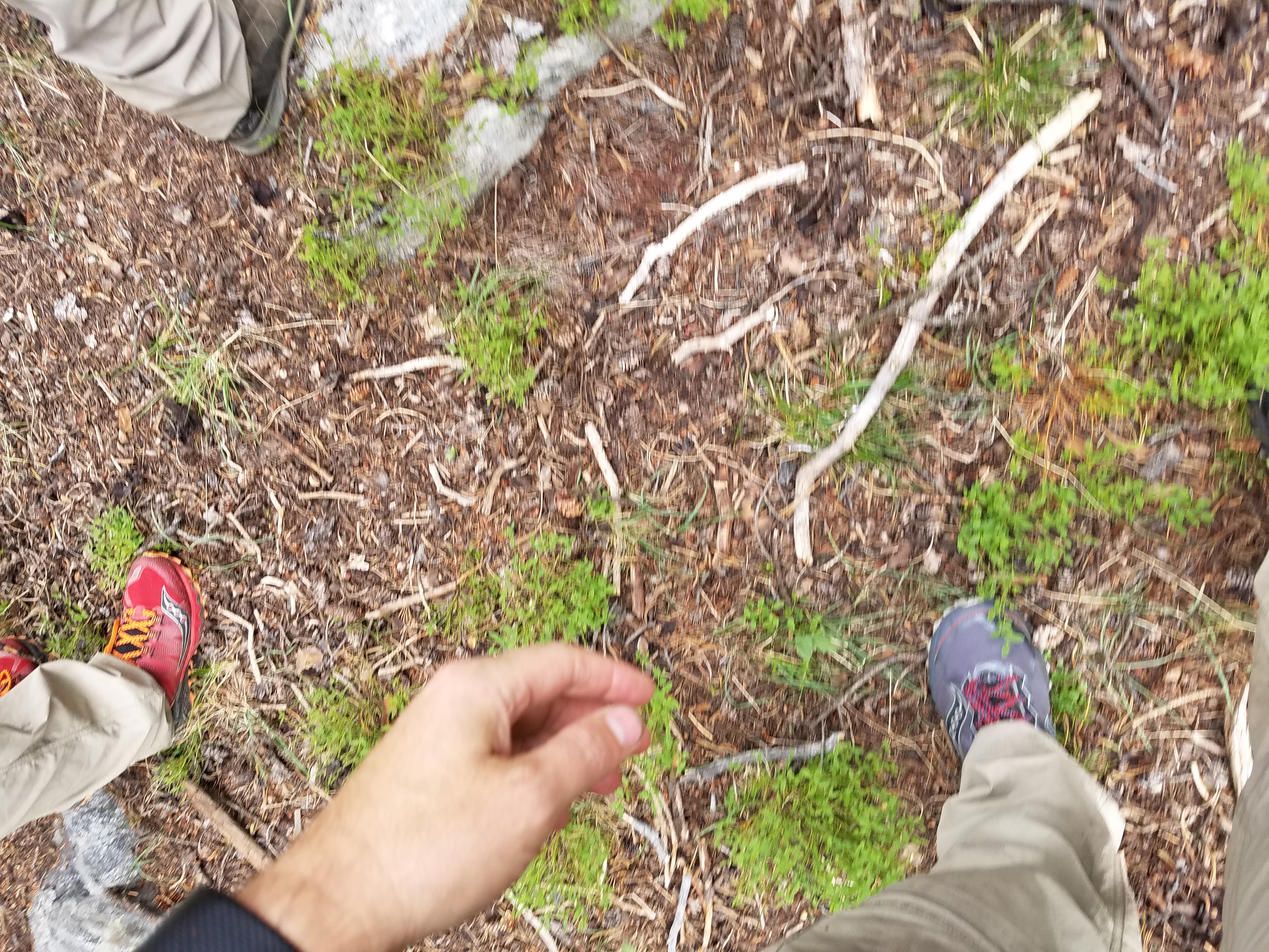 2017 Wind River Trip - Day 7 - Mount Victor Base Camp to Coyote Lake, Zack's Bloody Nose, Old Cabin (Wind River Range, Wyoming)