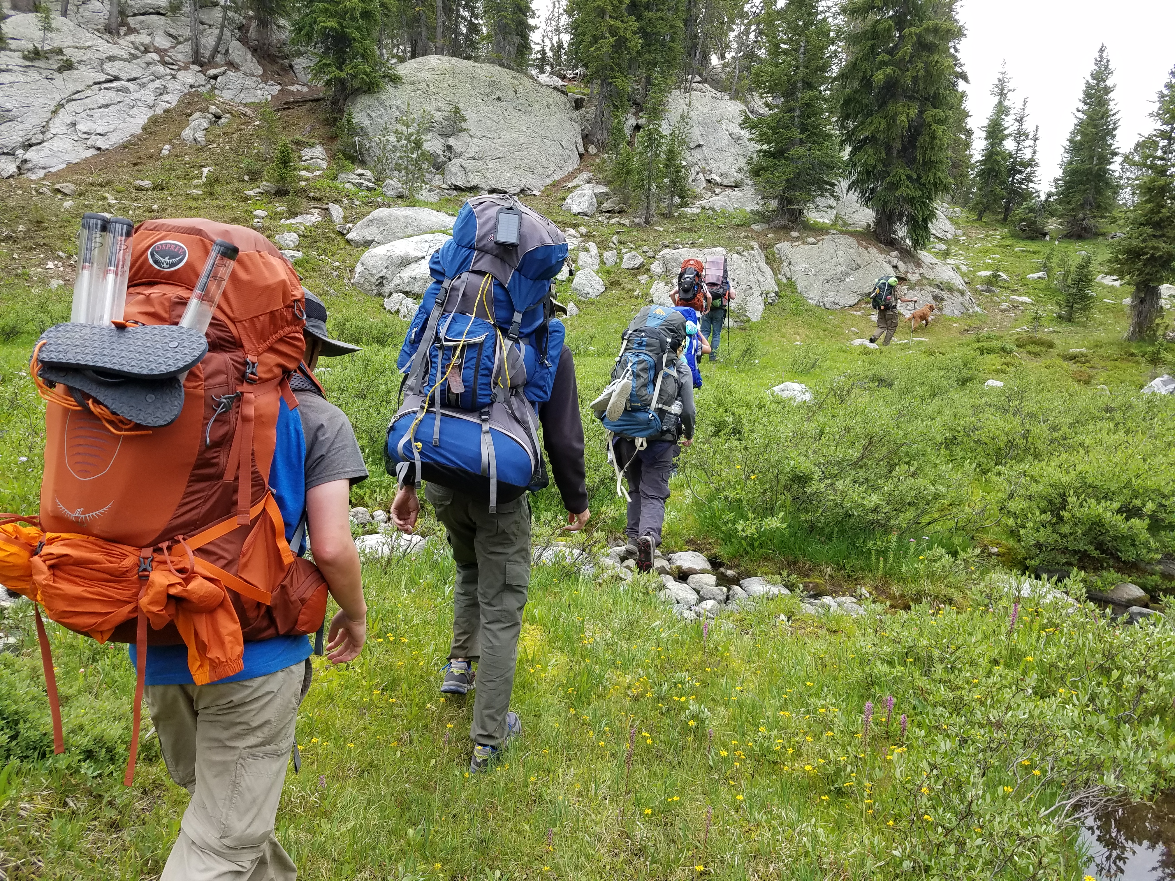 2017 Wind River Trip - Day 7 - Mount Victor Base Camp to Coyote Lake, Zack's Bloody Nose, Old Cabin (Wind River Range, Wyoming)