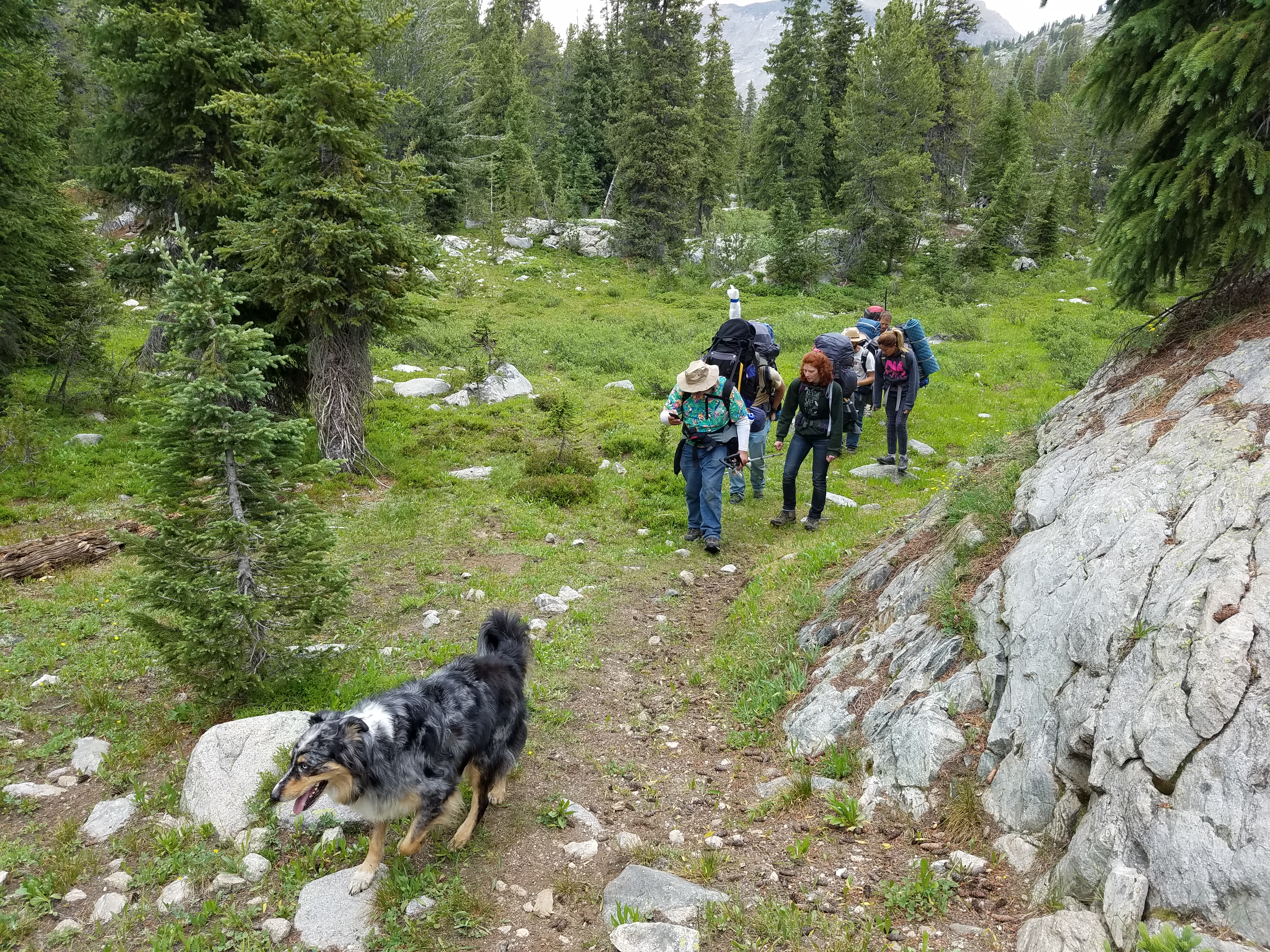 2017 Wind River Trip - Day 7 - Mount Victor Base Camp to Coyote Lake, Zack's Bloody Nose, Old Cabin (Wind River Range, Wyoming)