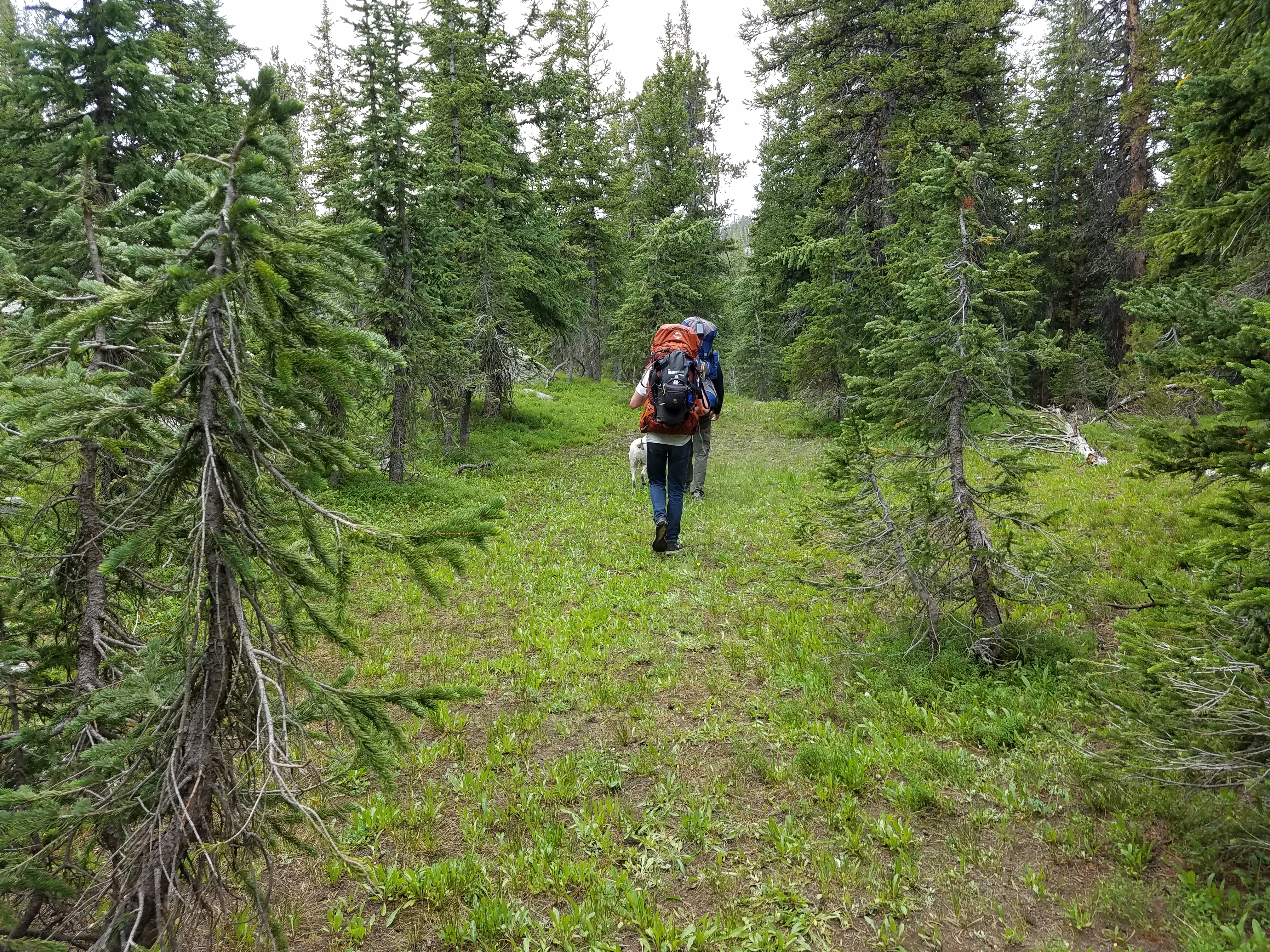 2017 Wind River Trip - Day 7 - Mount Victor Base Camp to Coyote Lake, Zack's Bloody Nose, Old Cabin (Wind River Range, Wyoming)