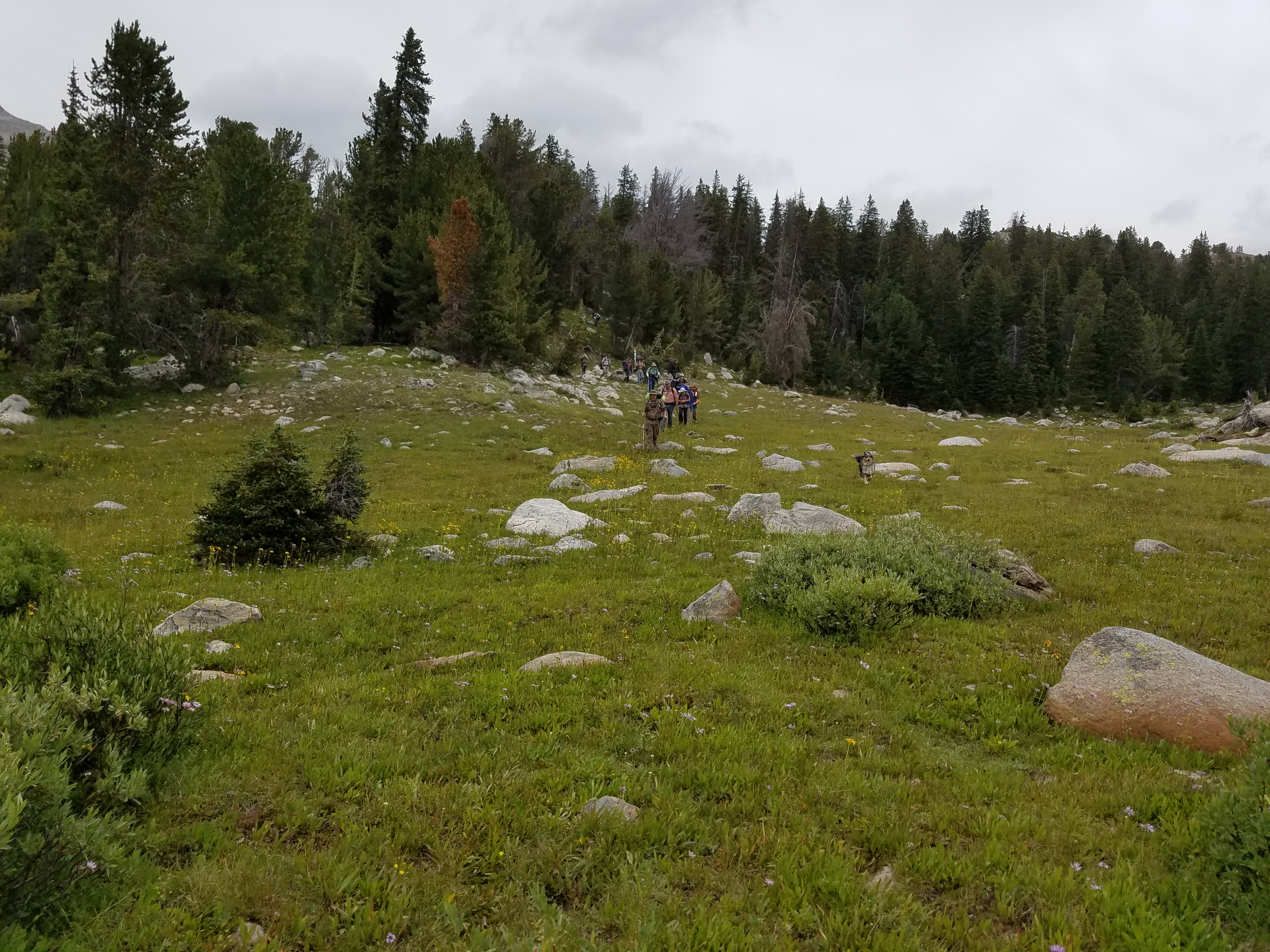 2017 Wind River Trip - Day 7 - Mount Victor Base Camp to Coyote Lake, Zack's Bloody Nose, Old Cabin (Wind River Range, Wyoming)