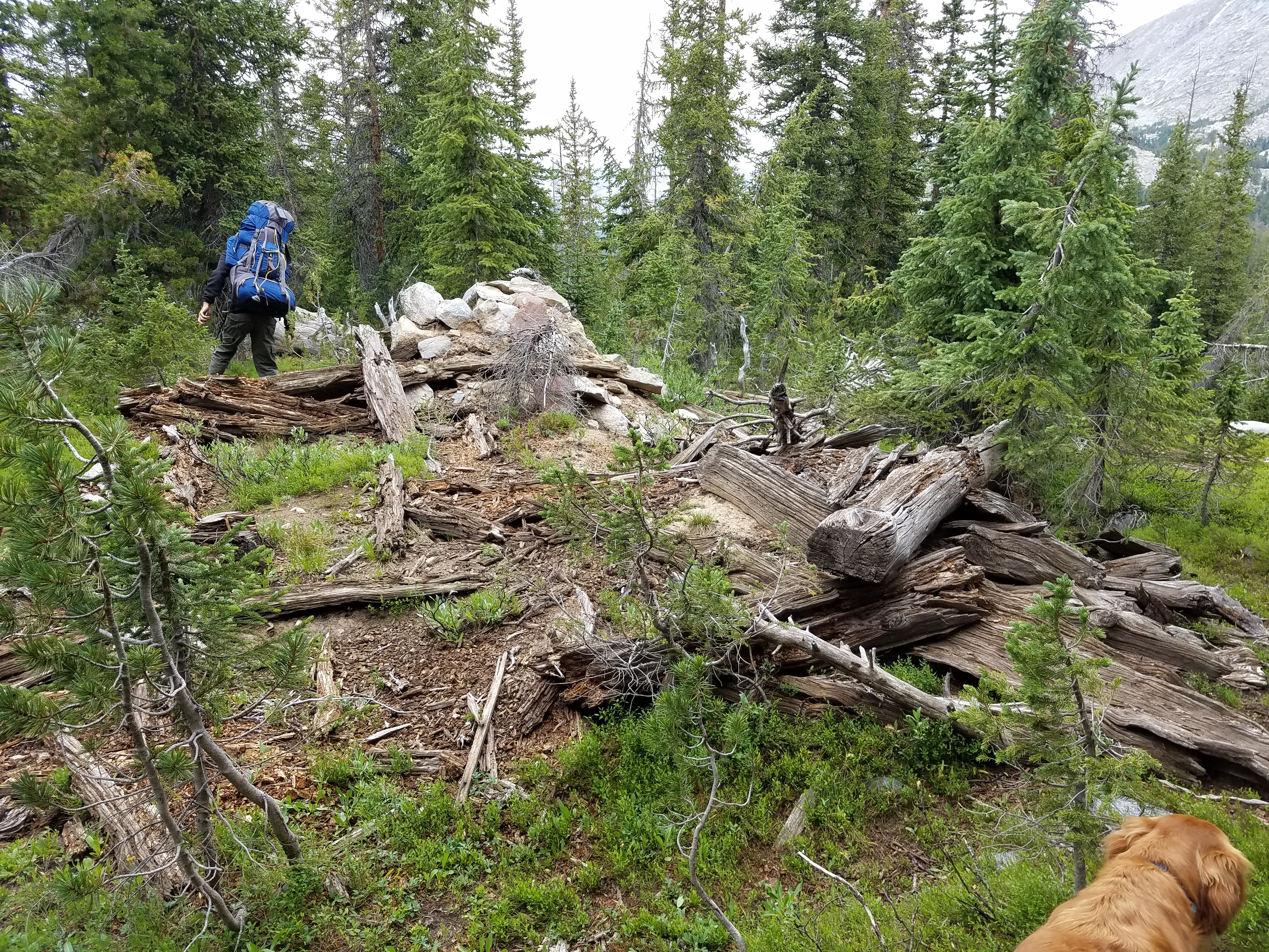 2017 Wind River Trip - Day 7 - Mount Victor Base Camp to Coyote Lake, Zack's Bloody Nose, Old Cabin (Wind River Range, Wyoming)