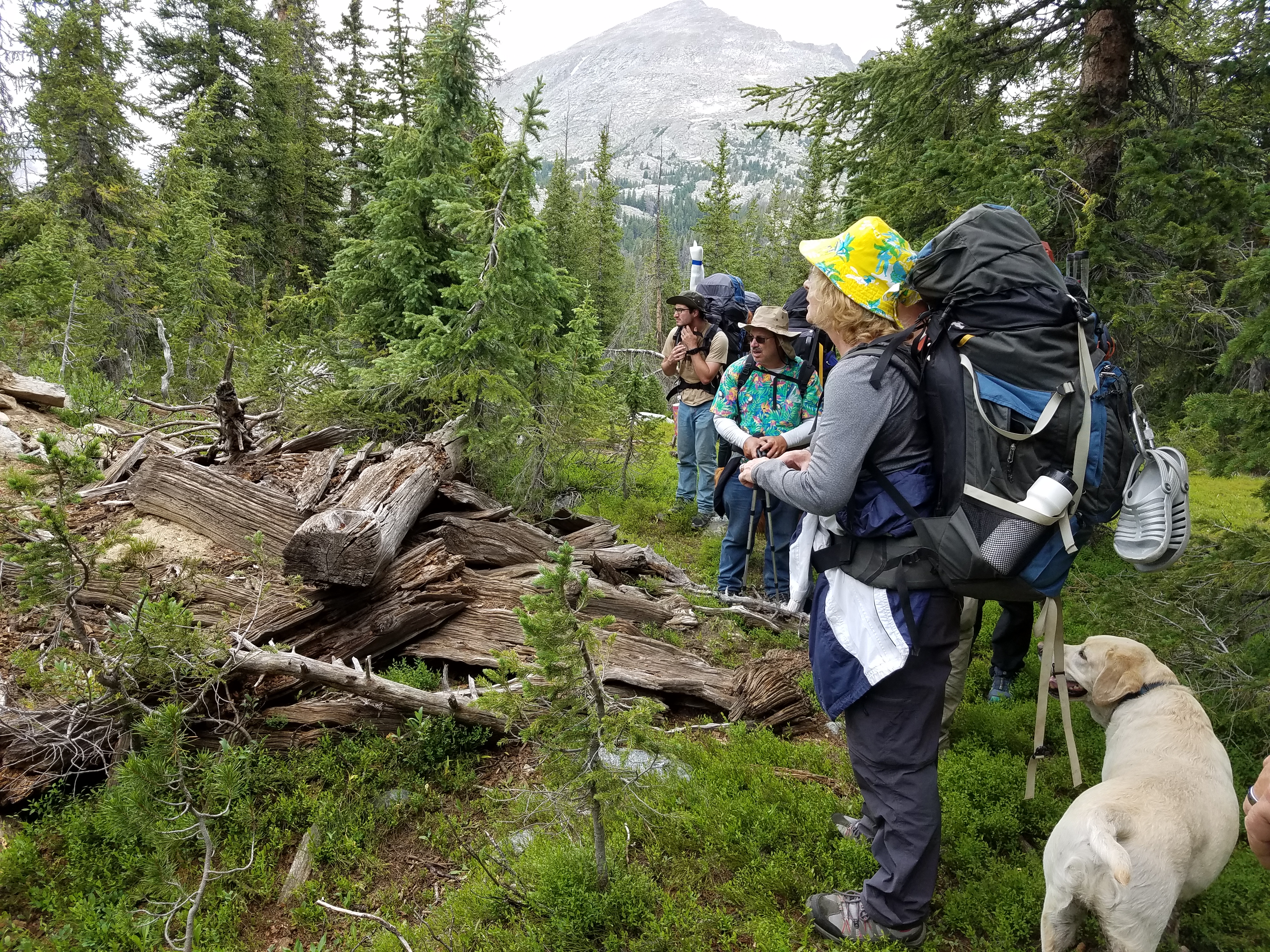 2017 Wind River Trip - Day 7 - Mount Victor Base Camp to Coyote Lake, Zack's Bloody Nose, Old Cabin (Wind River Range, Wyoming)