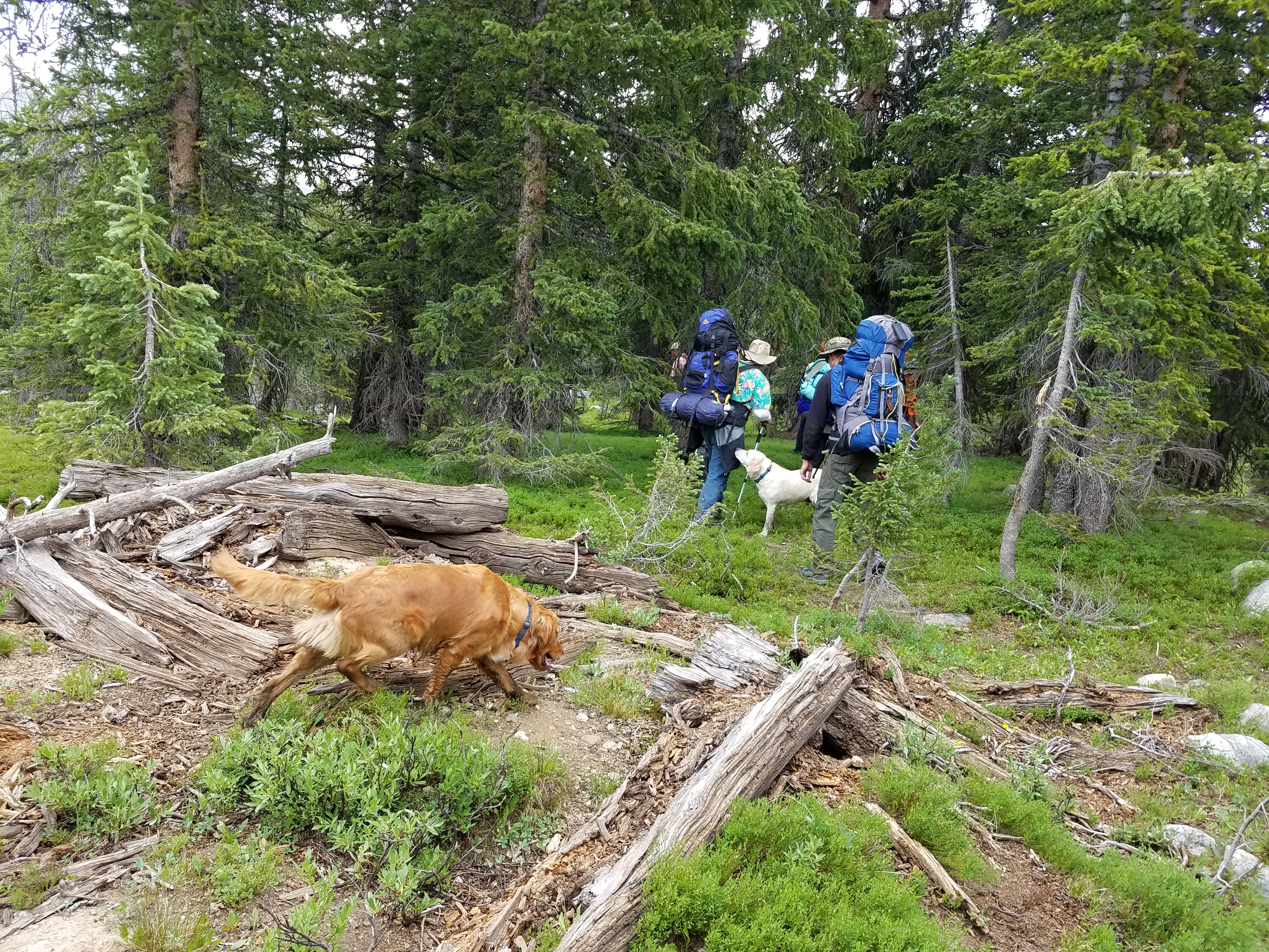 2017 Wind River Trip - Day 7 - Mount Victor Base Camp to Coyote Lake, Zack's Bloody Nose, Old Cabin (Wind River Range, Wyoming)