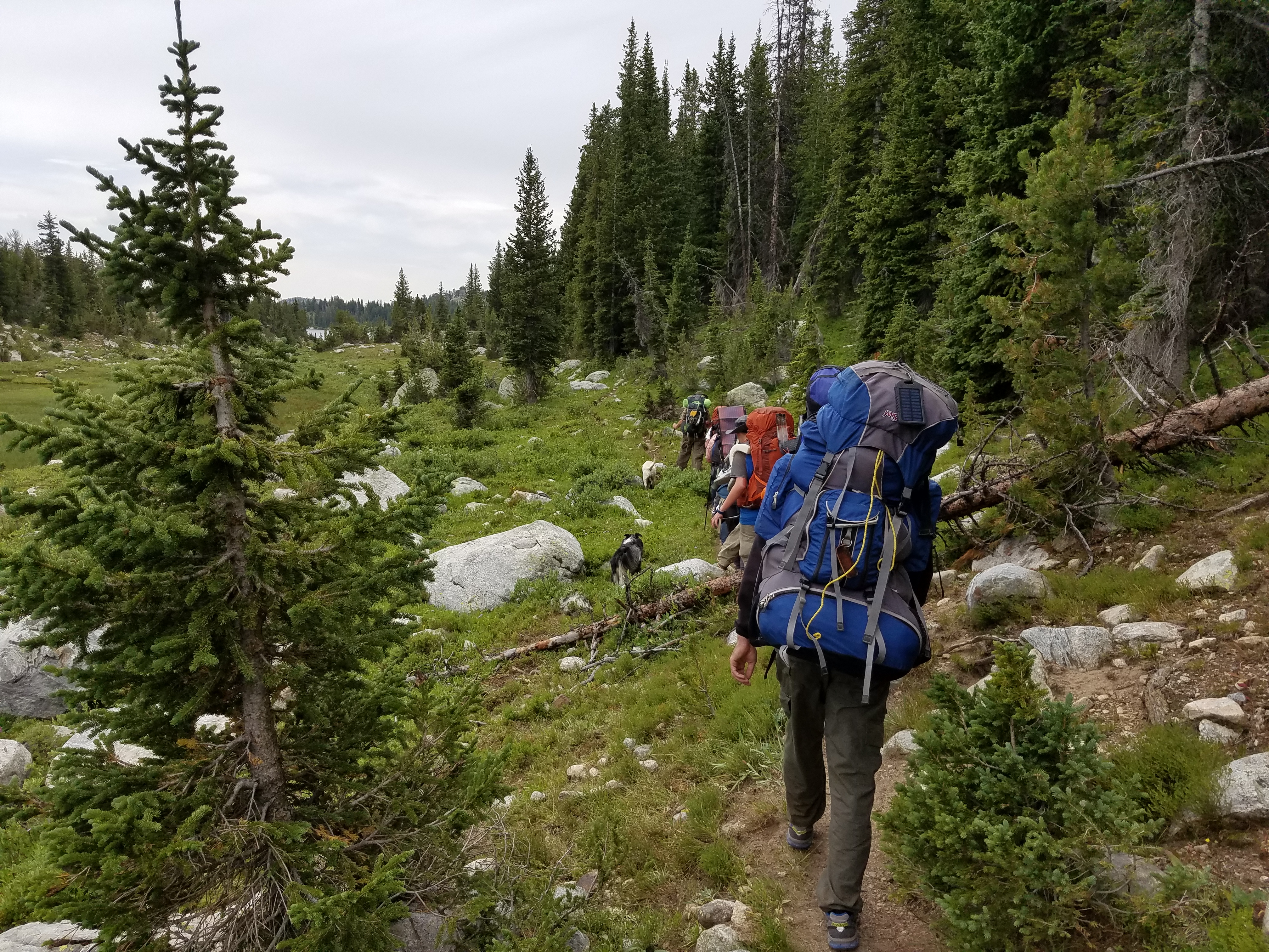 2017 Wind River Trip - Day 7 - Mount Victor Base Camp to Coyote Lake, Zack's Bloody Nose, Old Cabin (Wind River Range, Wyoming)