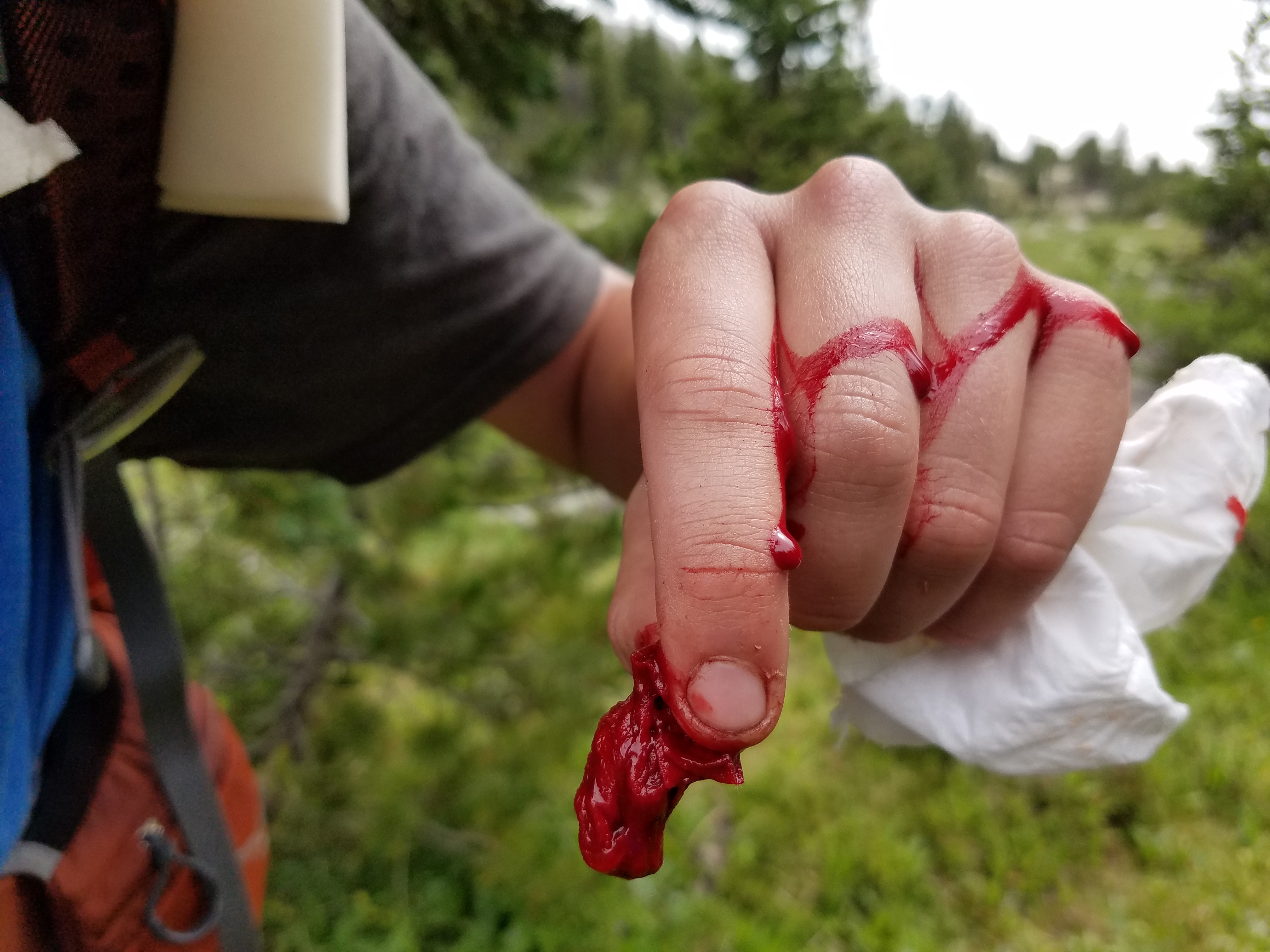 2017 Wind River Trip - Day 7 - Mount Victor Base Camp to Coyote Lake, Zack's Bloody Nose, Old Cabin (Wind River Range, Wyoming)