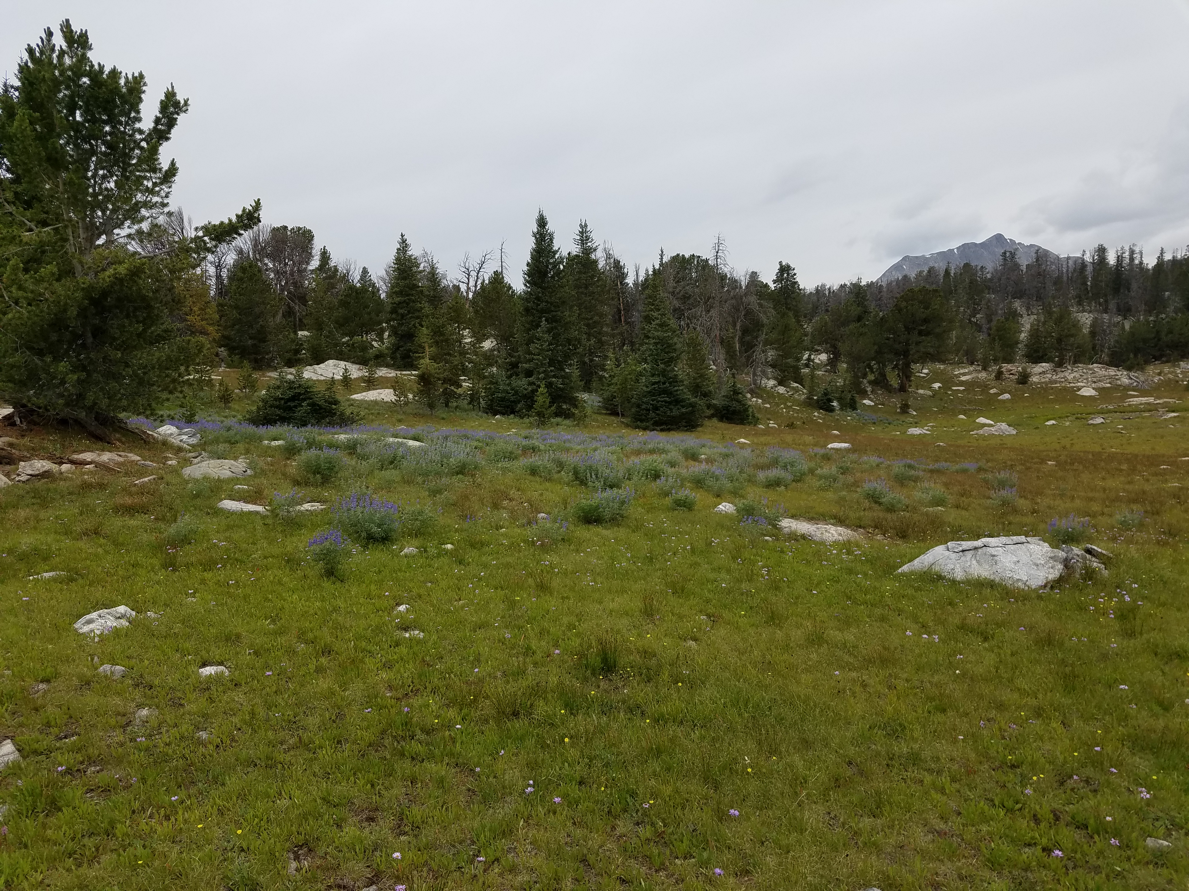 2017 Wind River Trip - Day 7 - Mount Victor Base Camp to Coyote Lake, Zack's Bloody Nose, Old Cabin (Wind River Range, Wyoming)