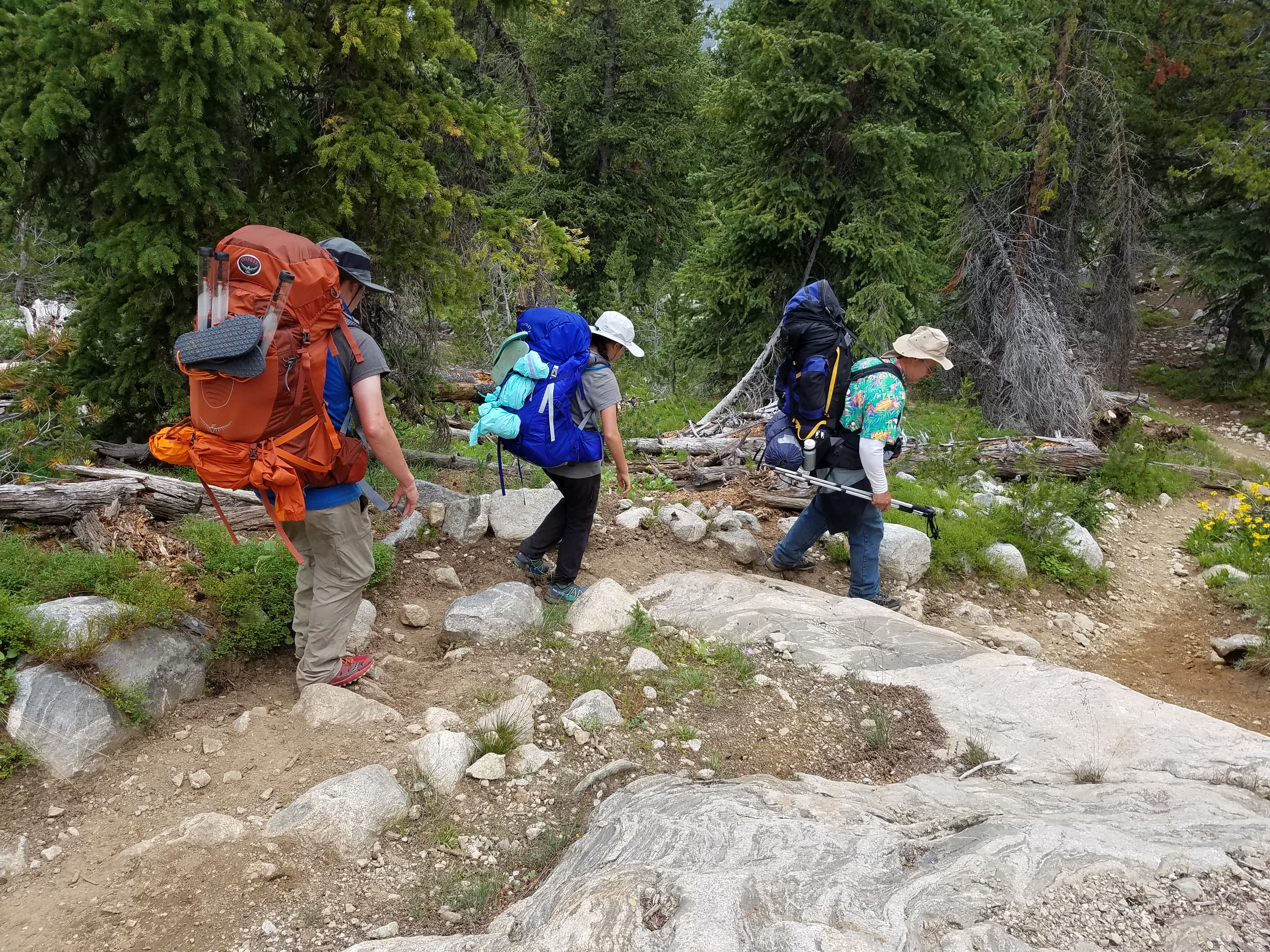 2017 Wind River Trip - Day 7 - Mount Victor Base Camp to Coyote Lake, Zack's Bloody Nose, Old Cabin (Wind River Range, Wyoming)