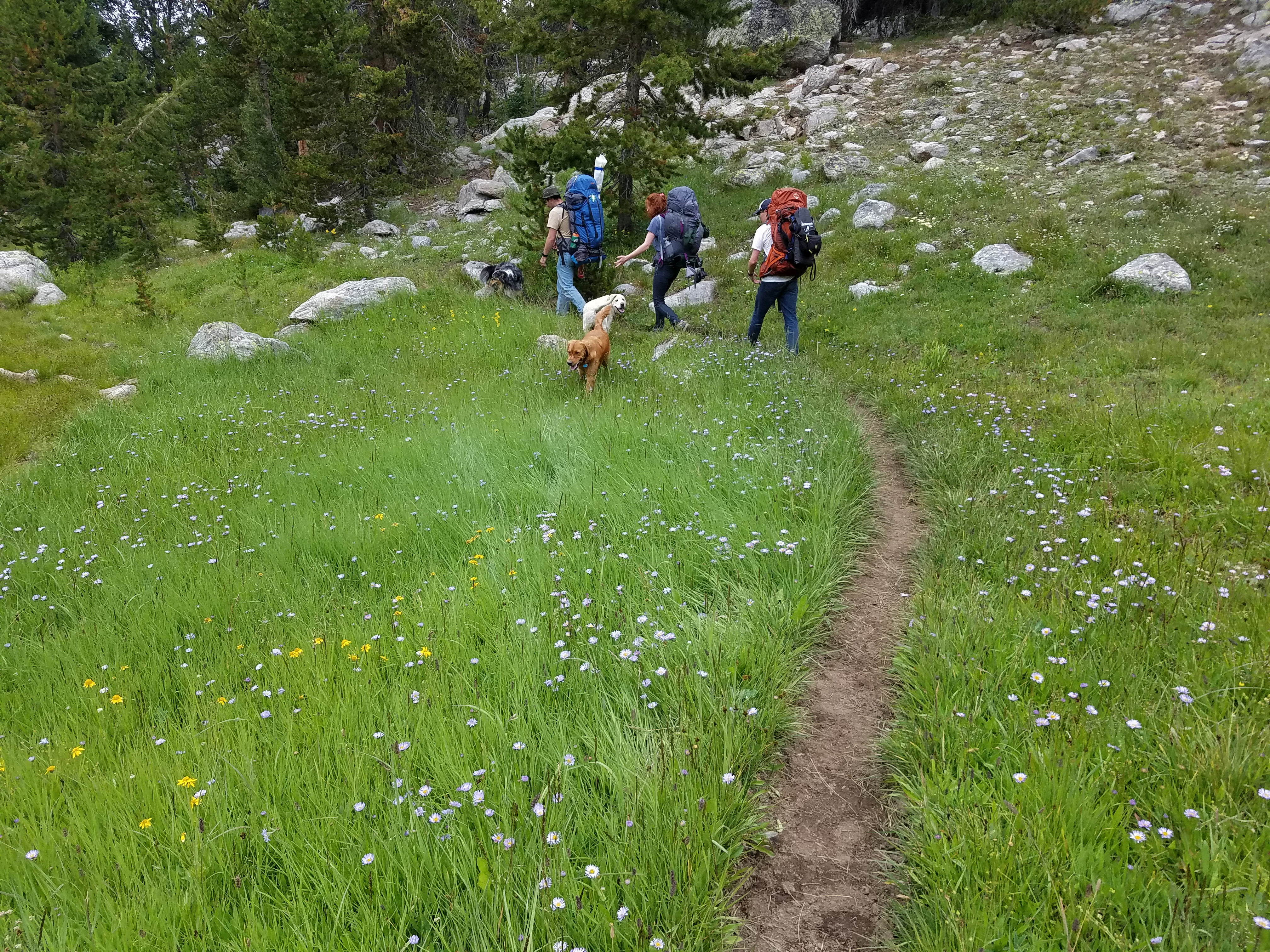 2017 Wind River Trip - Day 7 - Mount Victor Base Camp to Coyote Lake, Zack's Bloody Nose, Old Cabin (Wind River Range, Wyoming)