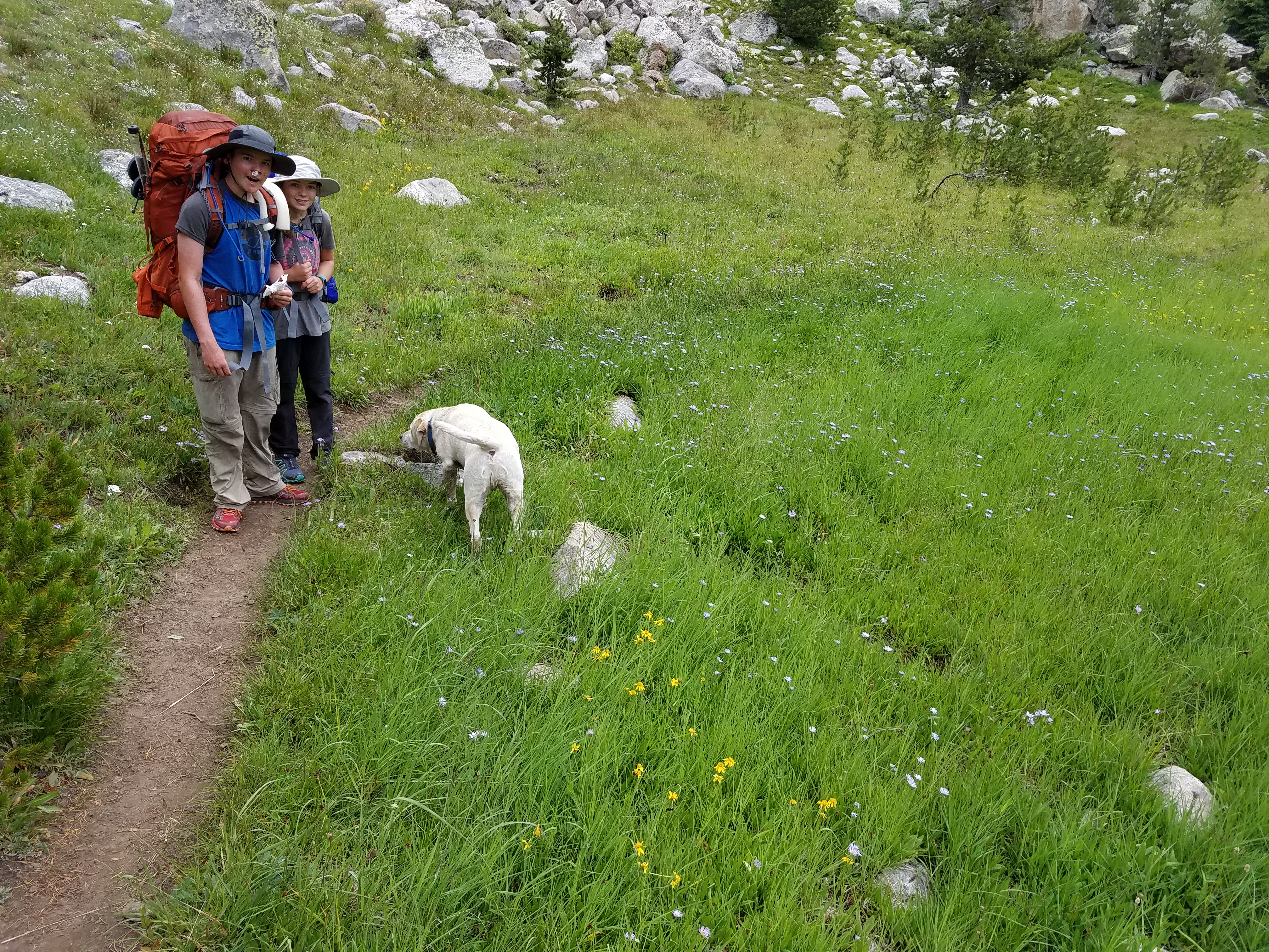 2017 Wind River Trip - Day 7 - Mount Victor Base Camp to Coyote Lake, Zack's Bloody Nose, Old Cabin (Wind River Range, Wyoming)