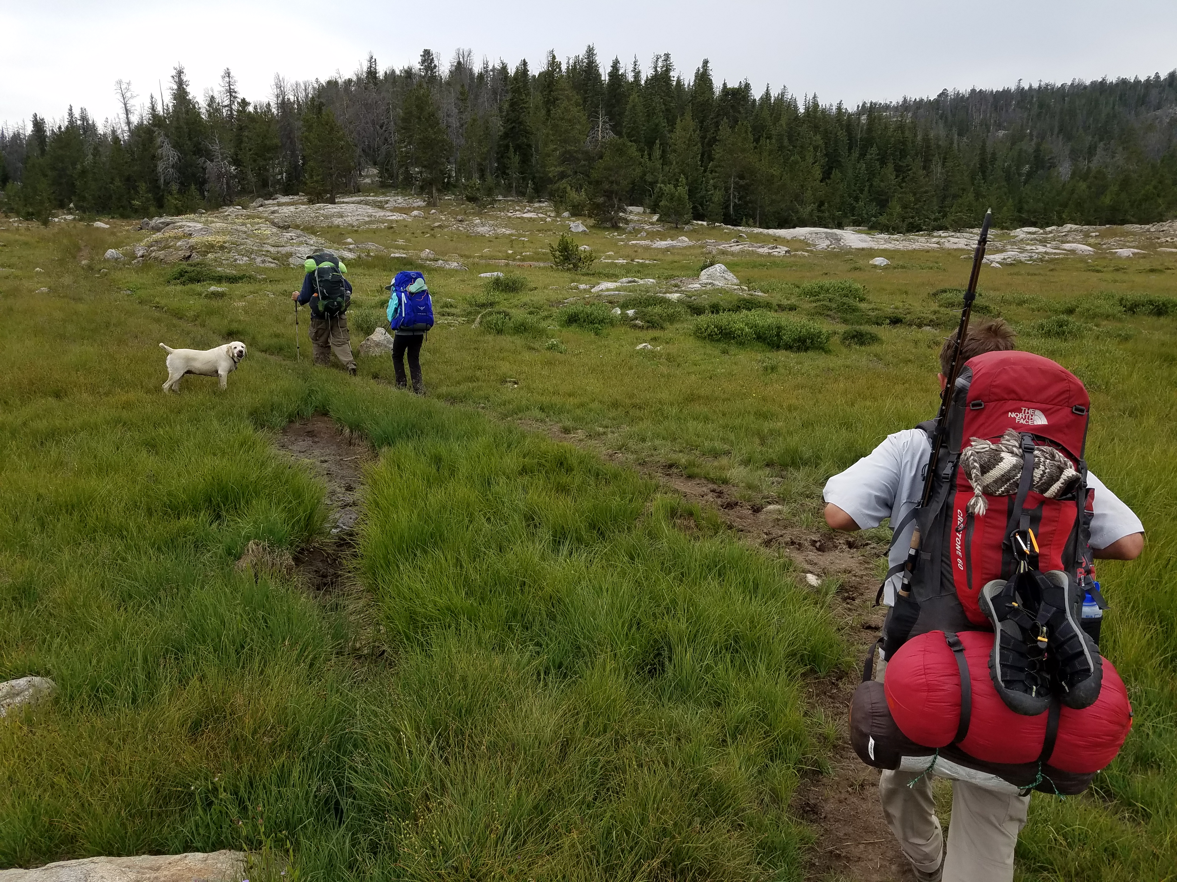 2017 Wind River Trip - Day 7 - Mount Victor Base Camp to Coyote Lake, Zack's Bloody Nose, Old Cabin (Wind River Range, Wyoming)