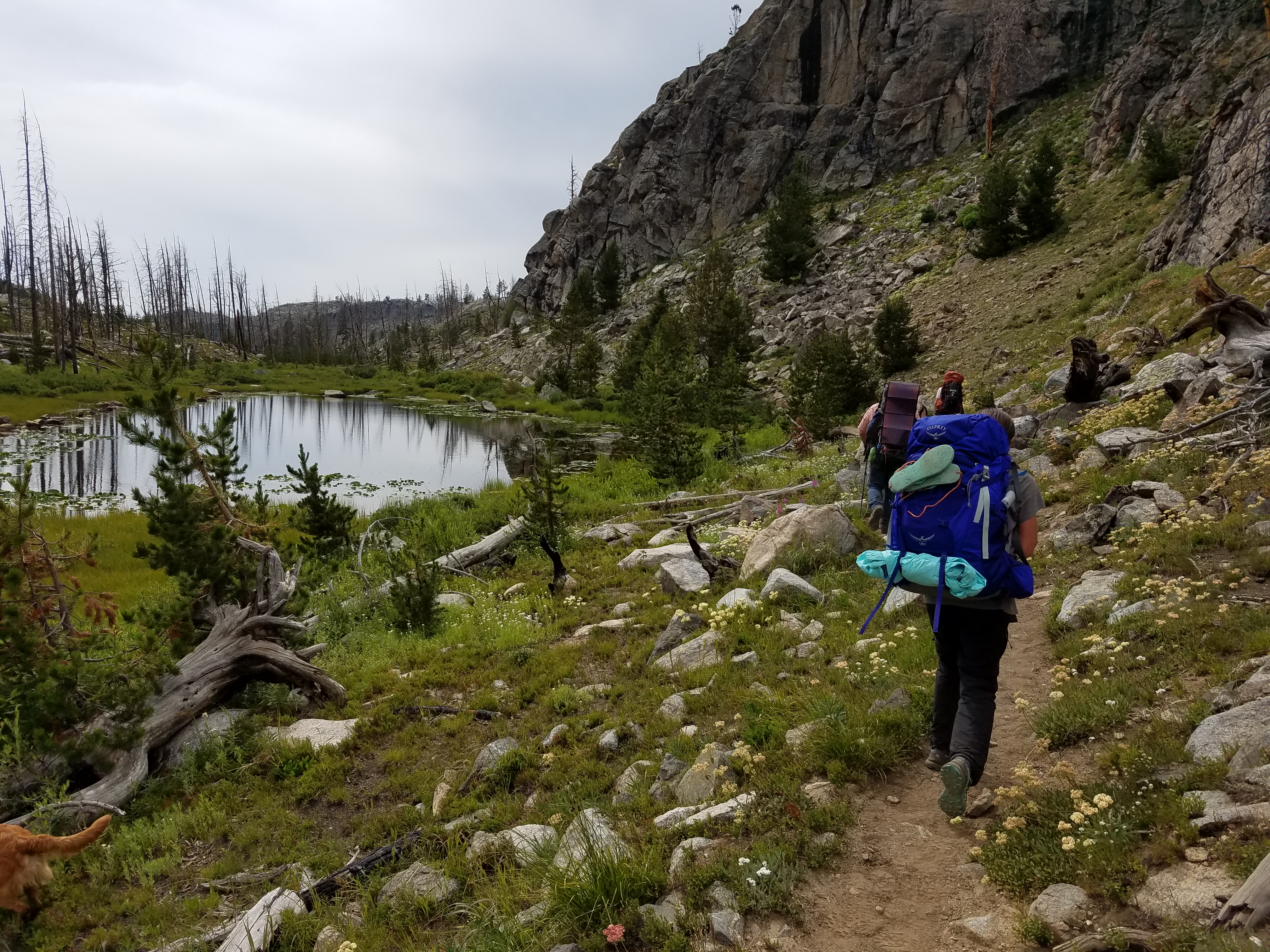 2017 Wind River Trip - Day 7 - Mount Victor Base Camp to Coyote Lake, Zack's Bloody Nose, Old Cabin (Wind River Range, Wyoming)