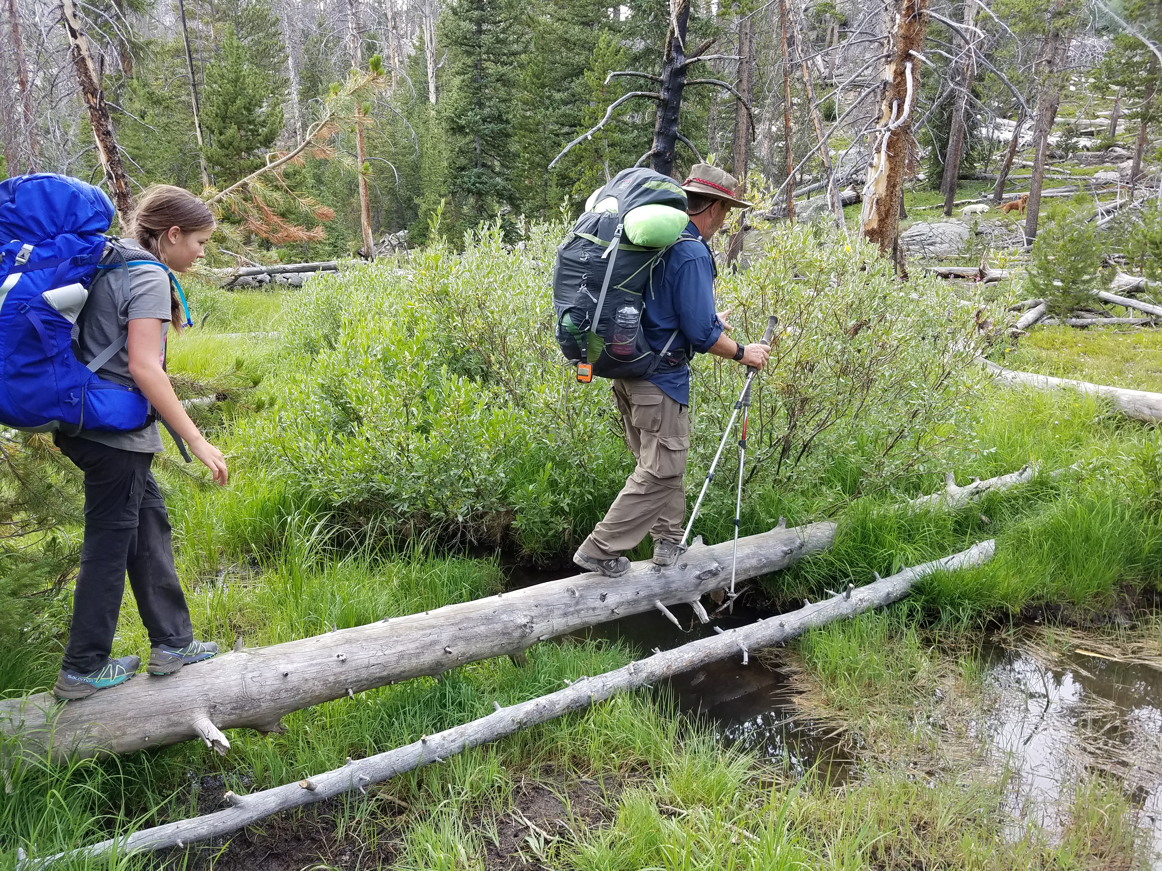 2017 Wind River Trip - Day 7 - Mount Victor Base Camp to Coyote Lake, Zack's Bloody Nose, Old Cabin (Wind River Range, Wyoming)