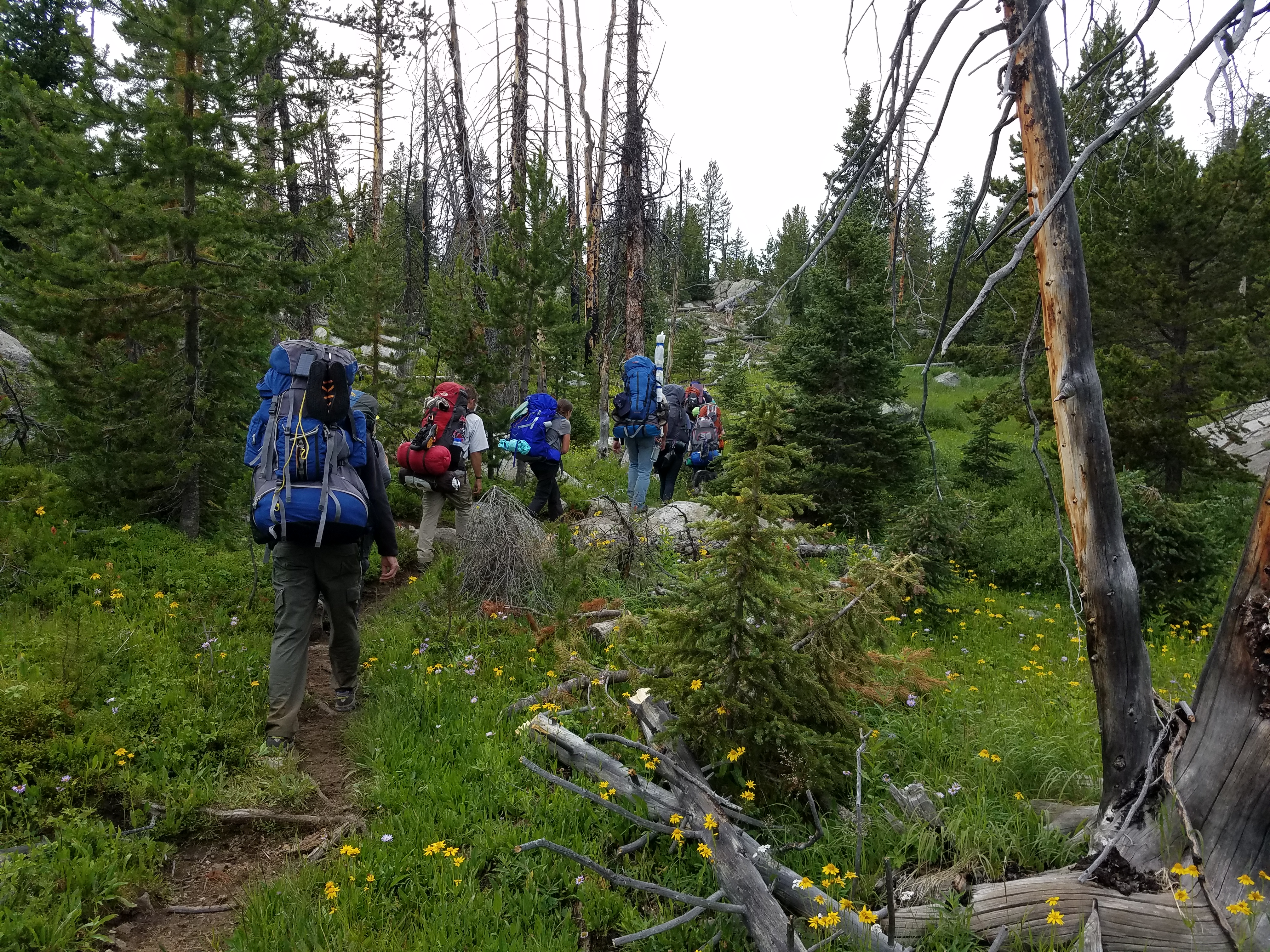 2017 Wind River Trip - Day 7 - Mount Victor Base Camp to Coyote Lake, Zack's Bloody Nose, Old Cabin (Wind River Range, Wyoming)