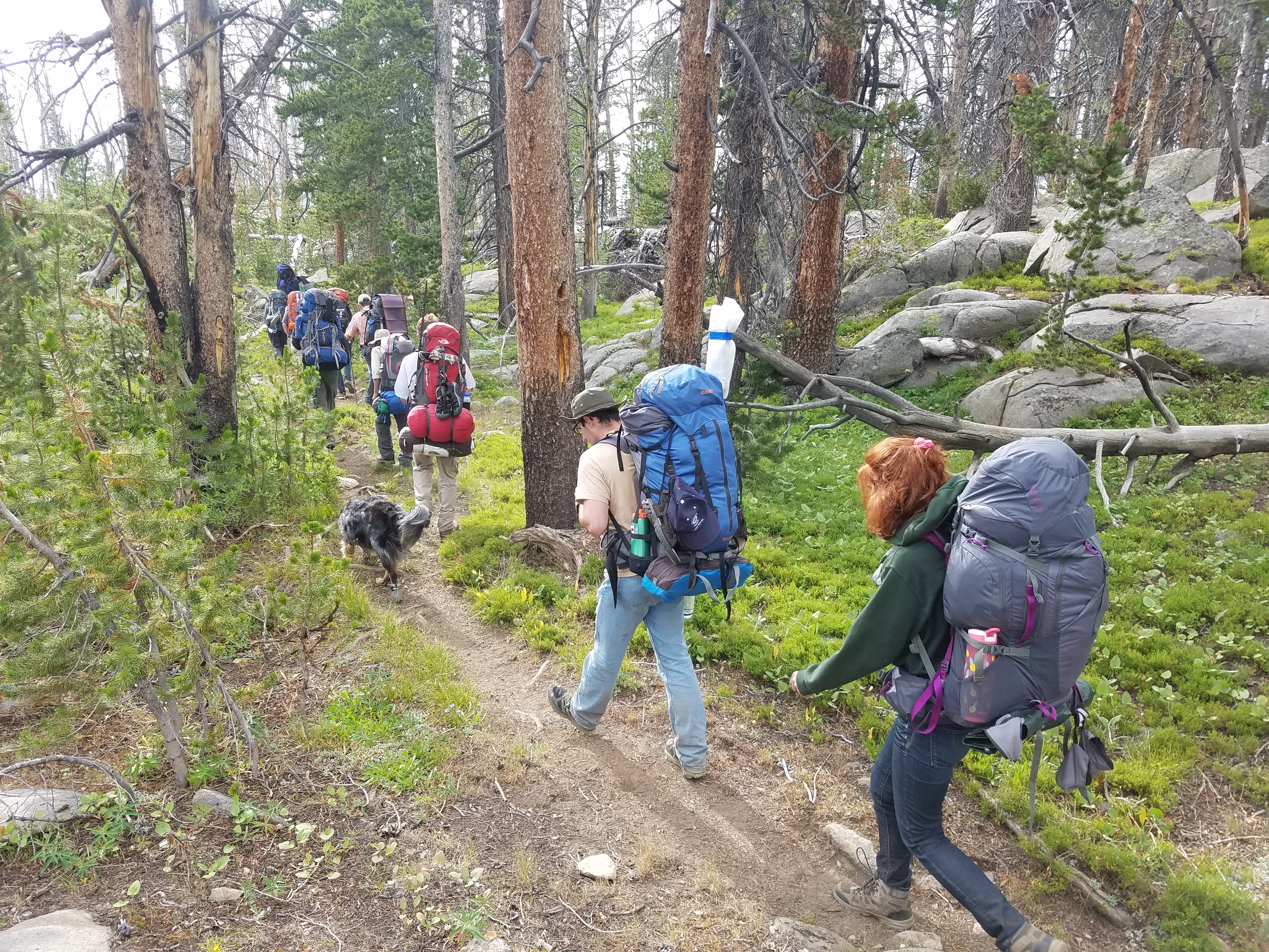 2017 Wind River Trip - Day 7 - Mount Victor Base Camp to Coyote Lake, Zack's Bloody Nose, Old Cabin (Wind River Range, Wyoming)