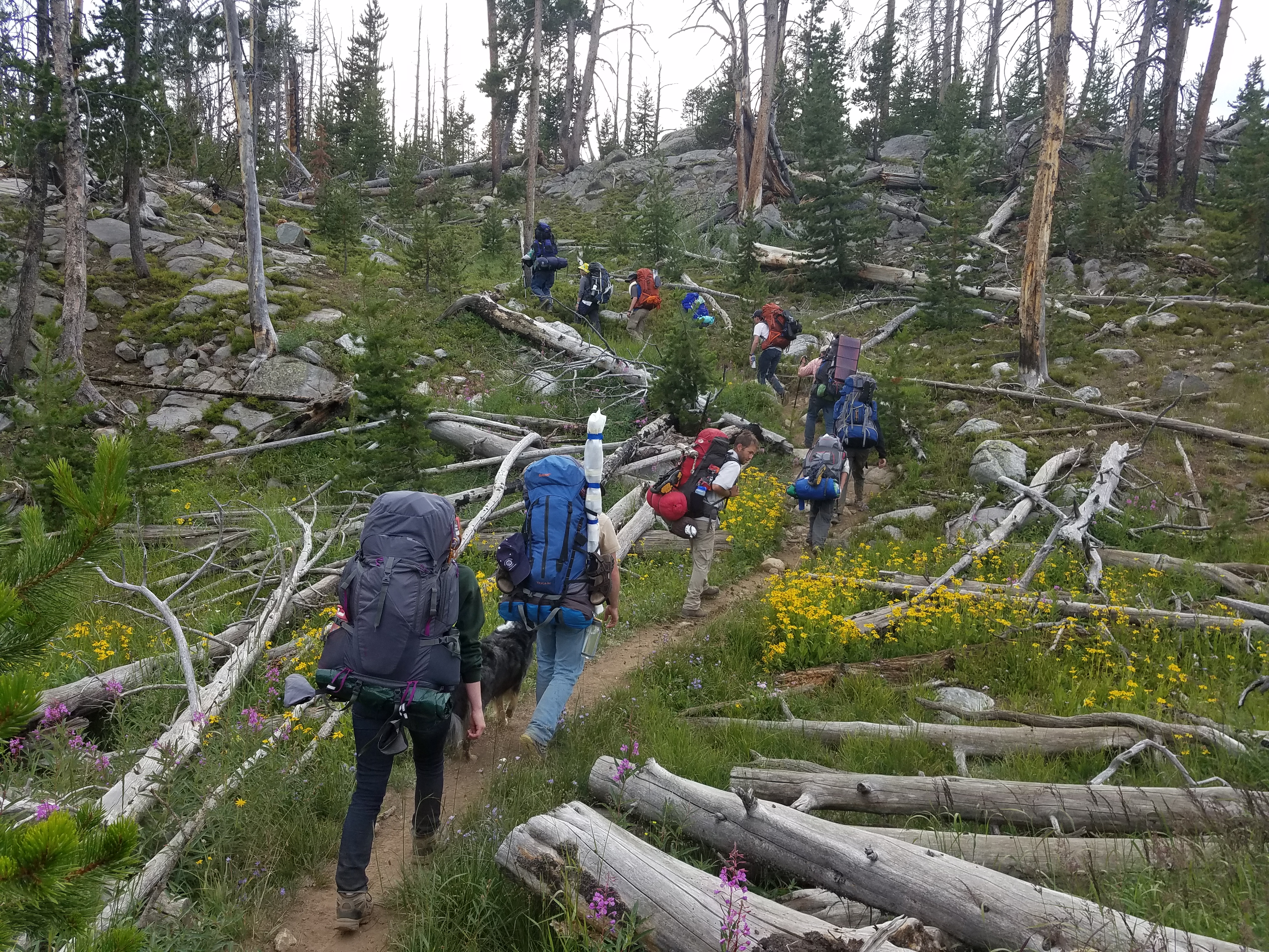 2017 Wind River Trip - Day 7 - Mount Victor Base Camp to Coyote Lake, Zack's Bloody Nose, Old Cabin (Wind River Range, Wyoming)