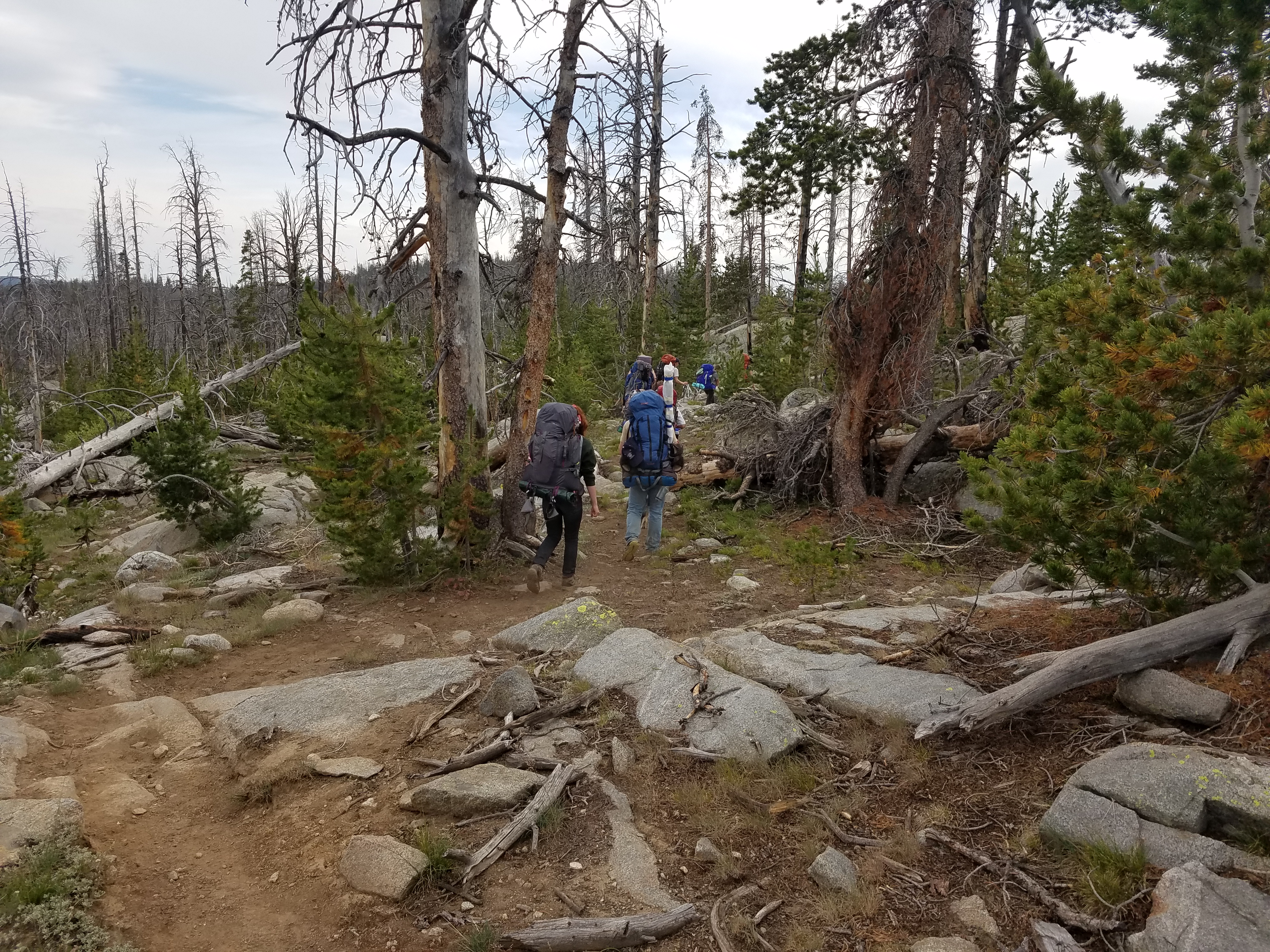 2017 Wind River Trip - Day 7 - Mount Victor Base Camp to Coyote Lake, Zack's Bloody Nose, Old Cabin (Wind River Range, Wyoming)