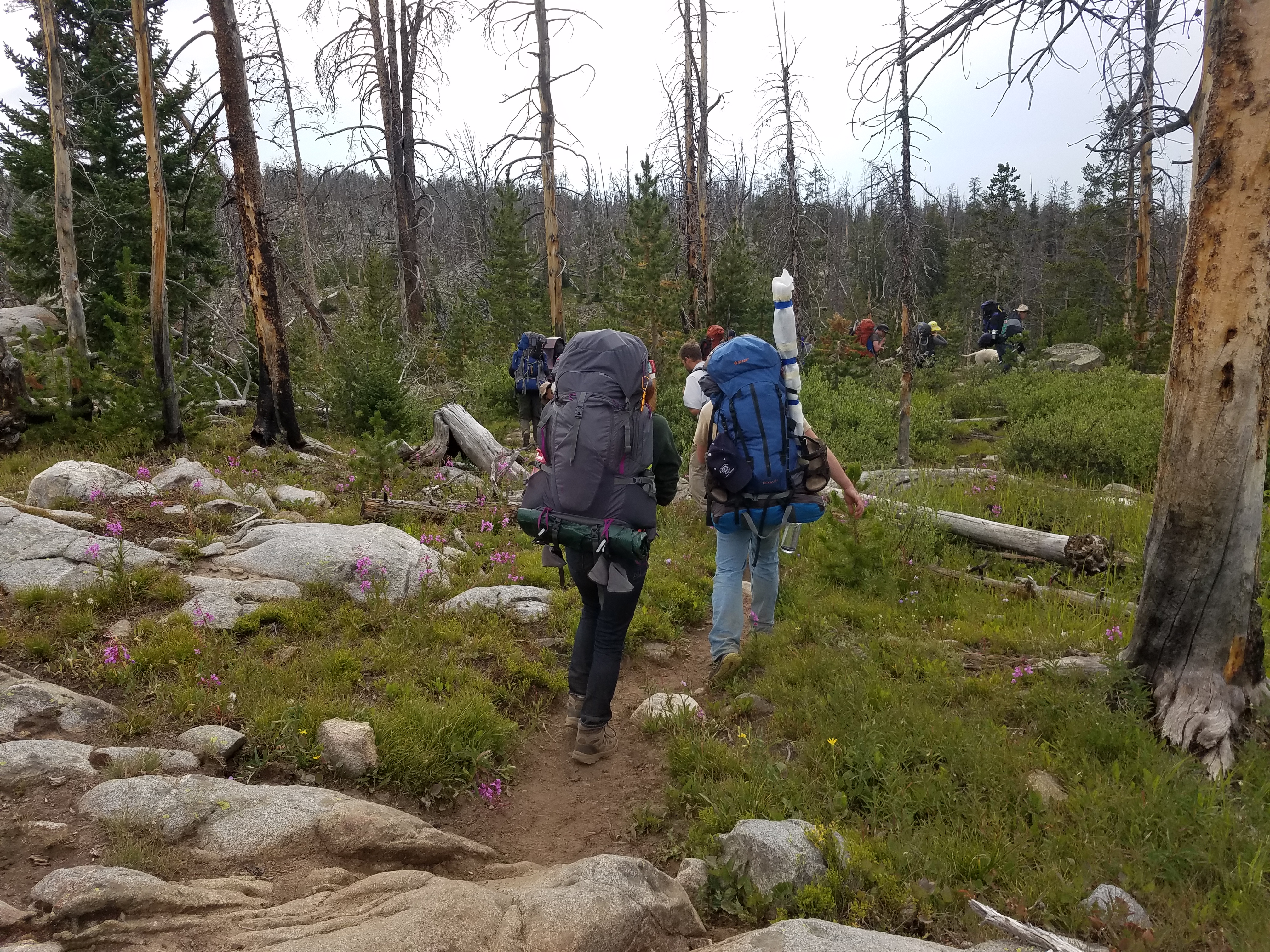 2017 Wind River Trip - Day 7 - Mount Victor Base Camp to Coyote Lake, Zack's Bloody Nose, Old Cabin (Wind River Range, Wyoming)