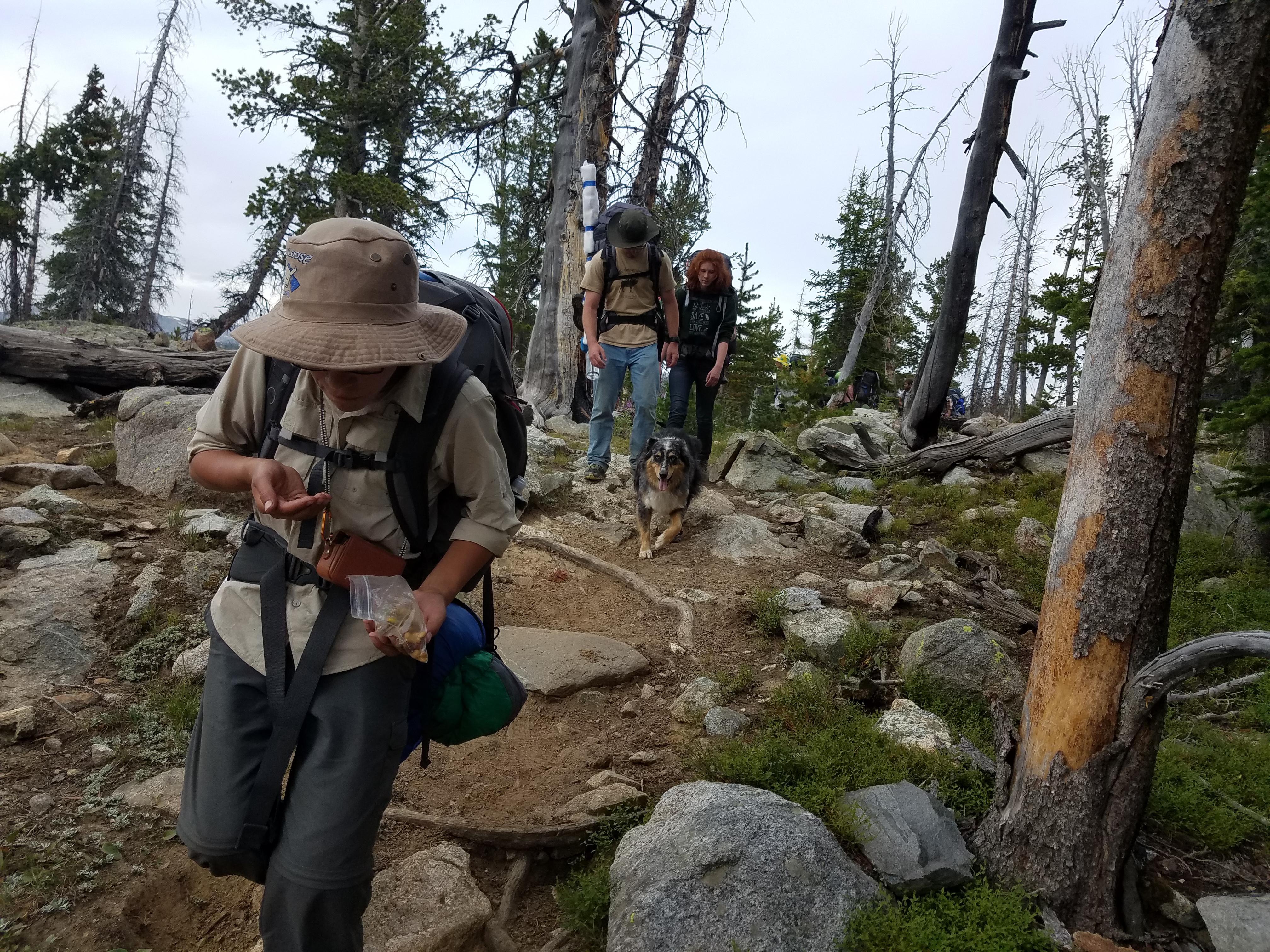 2017 Wind River Trip - Day 7 - Mount Victor Base Camp to Coyote Lake, Zack's Bloody Nose, Old Cabin (Wind River Range, Wyoming)