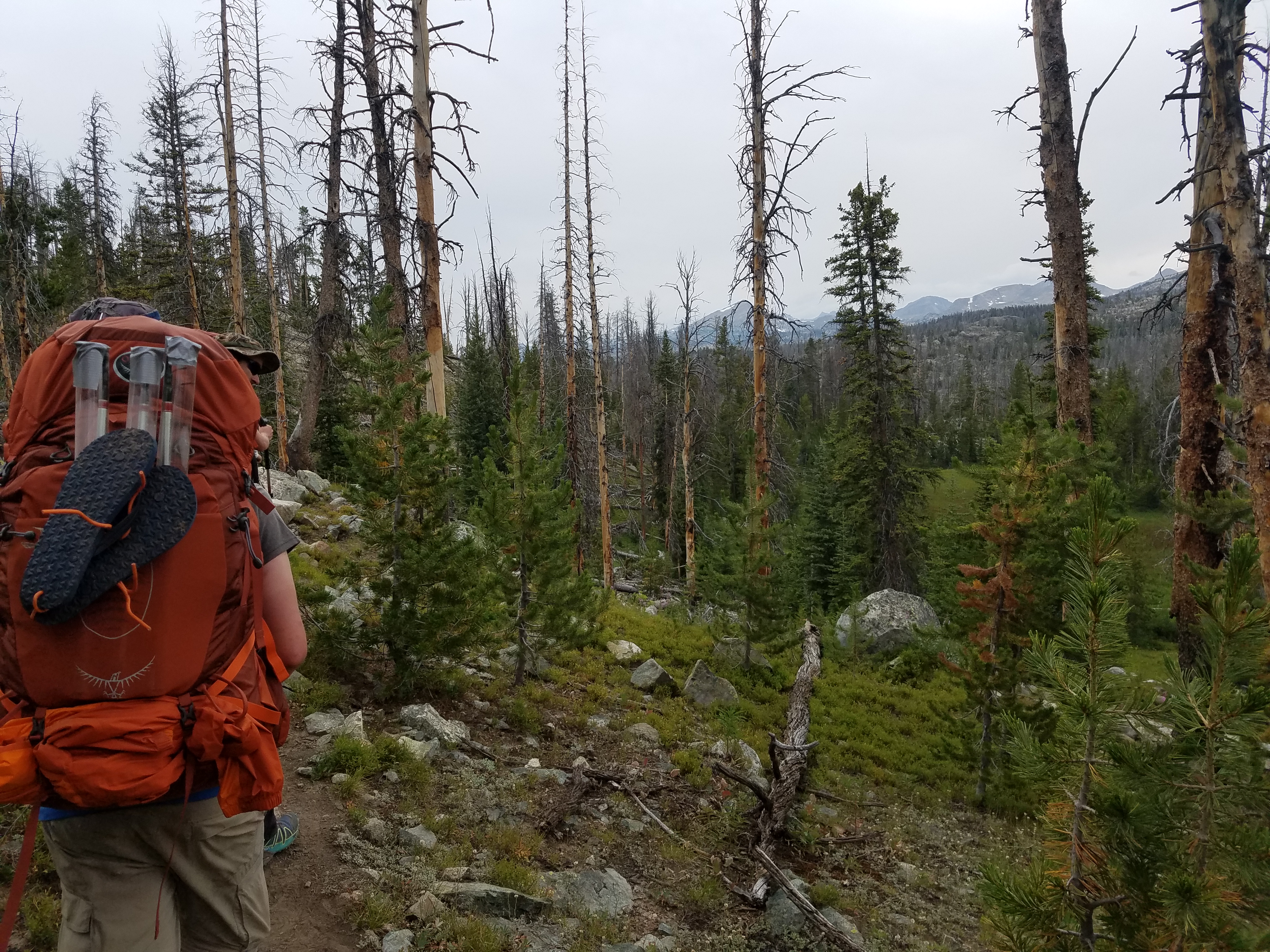 2017 Wind River Trip - Day 7 - Mount Victor Base Camp to Coyote Lake, Zack's Bloody Nose, Old Cabin (Wind River Range, Wyoming)