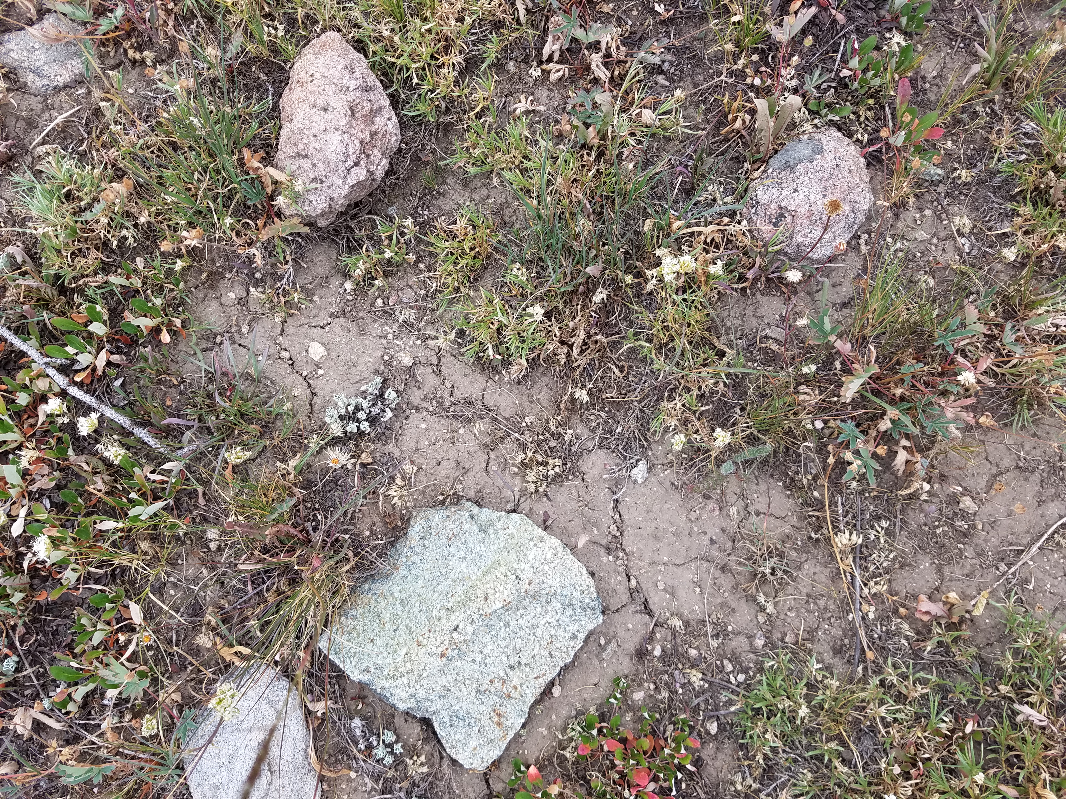 2017 Wind River Trip - Day 7 - Mount Victor Base Camp to Coyote Lake, Zack's Bloody Nose, Old Cabin (Wind River Range, Wyoming)