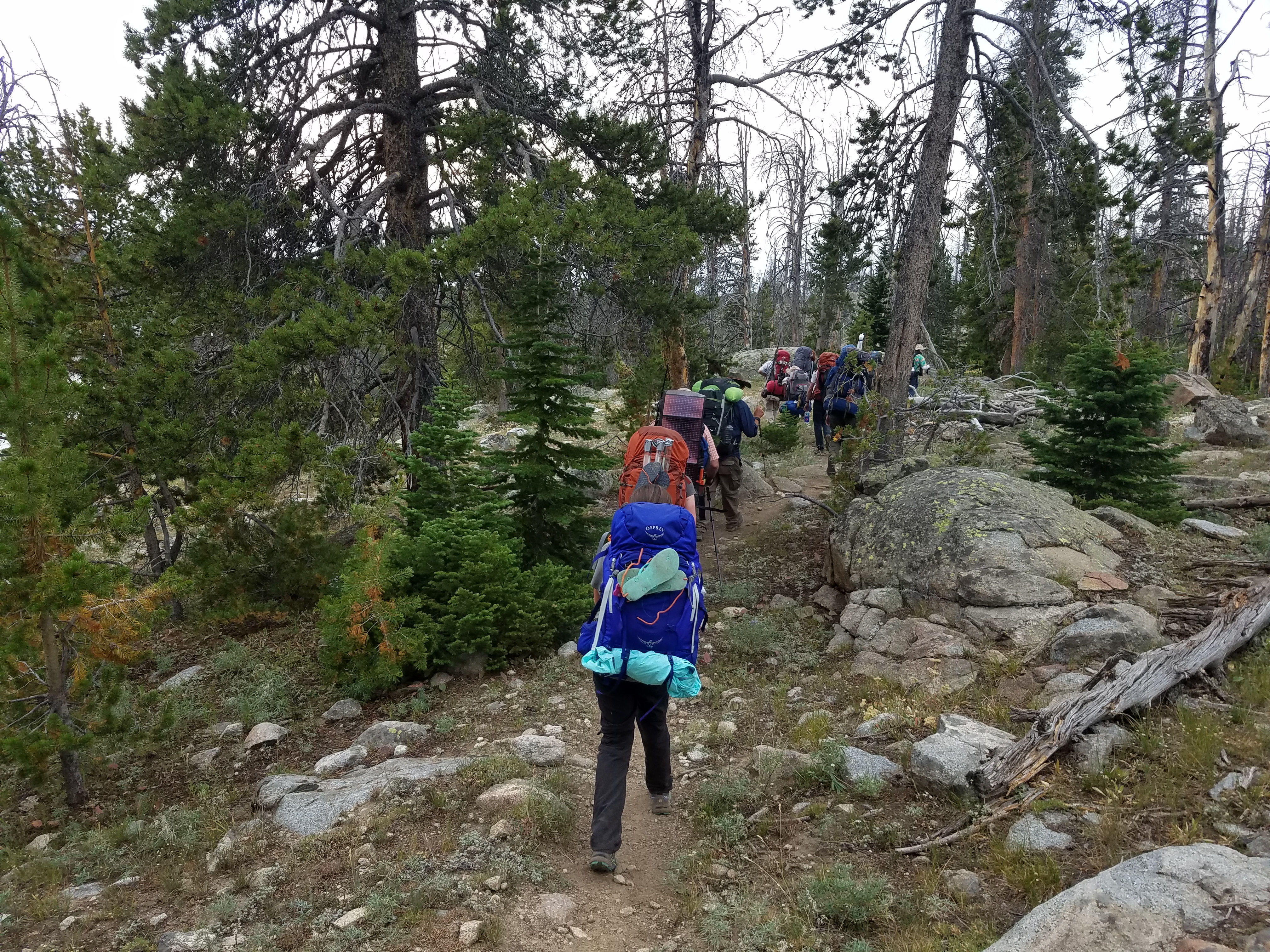 2017 Wind River Trip - Day 7 - Mount Victor Base Camp to Coyote Lake, Zack's Bloody Nose, Old Cabin (Wind River Range, Wyoming)