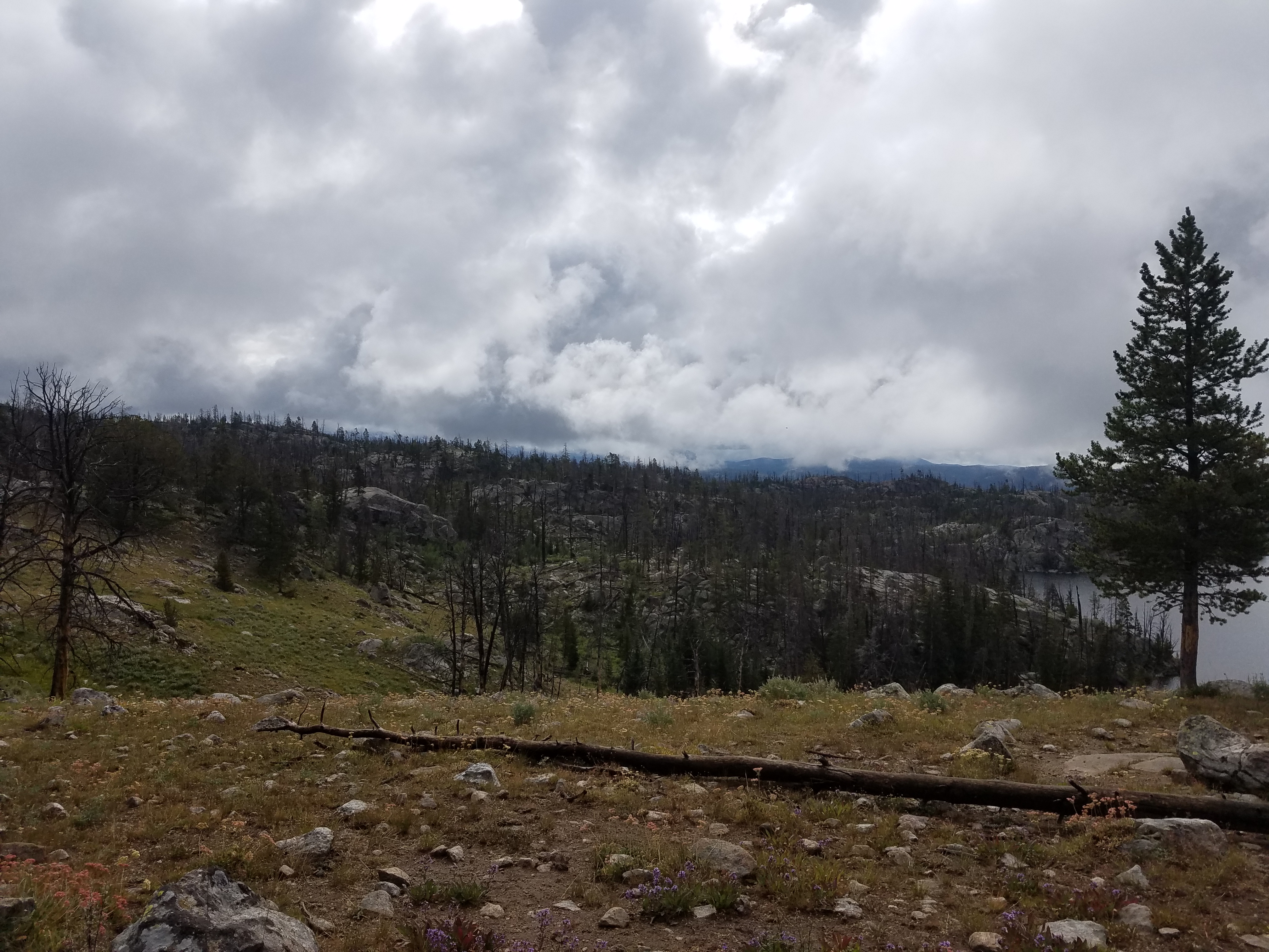 2017 Wind River Trip - Day 8 - Coyote Lake to Boulder Lake, Ethan's Exploding Pillow, Grizzly Bear Challenge, Dead Car Battery & Broken Key, Wind River Brewing Company, Toilet (Wind River Range, Wyoming)