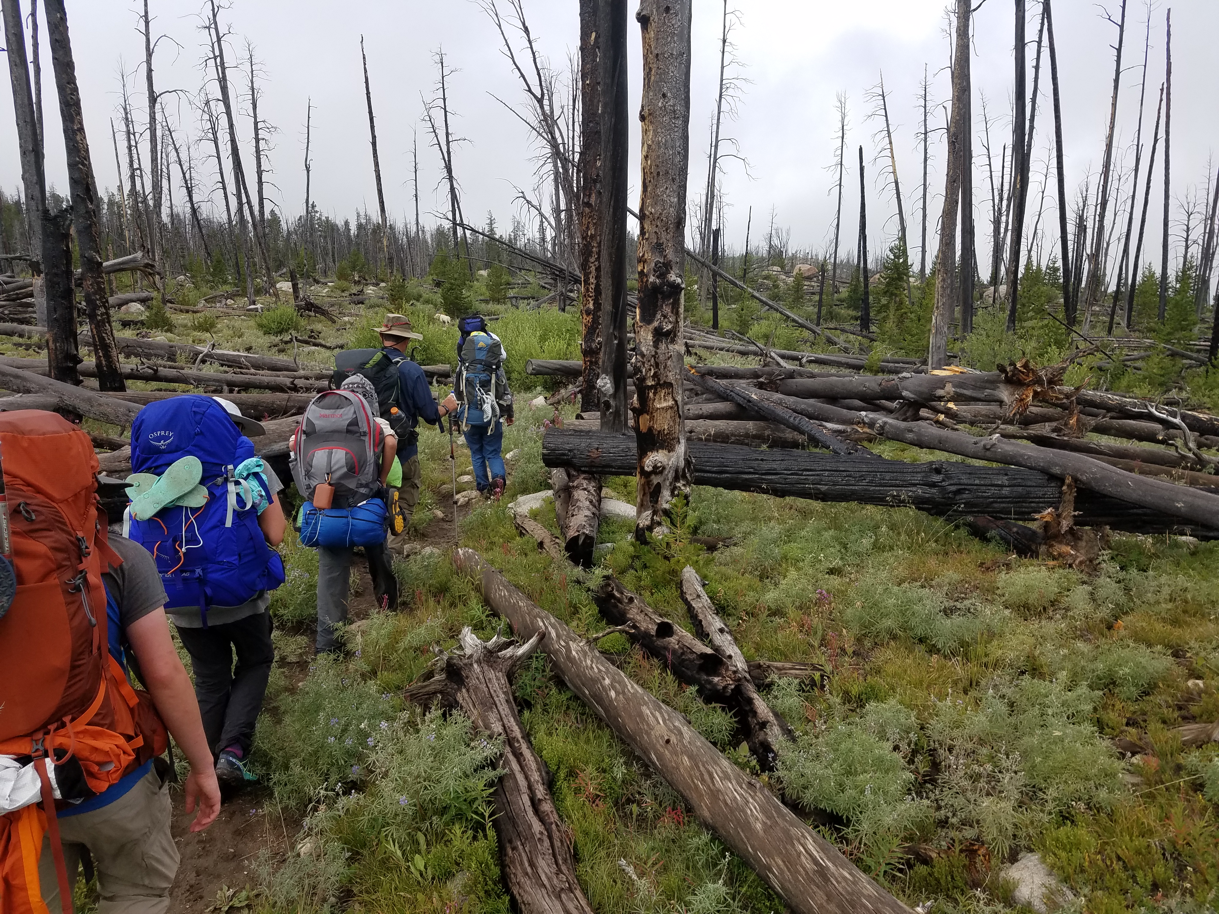 2017 Wind River Trip - Day 8 - Coyote Lake to Boulder Lake, Ethan's Exploding Pillow, Grizzly Bear Challenge, Dead Car Battery & Broken Key, Wind River Brewing Company, Toilet (Wind River Range, Wyoming)