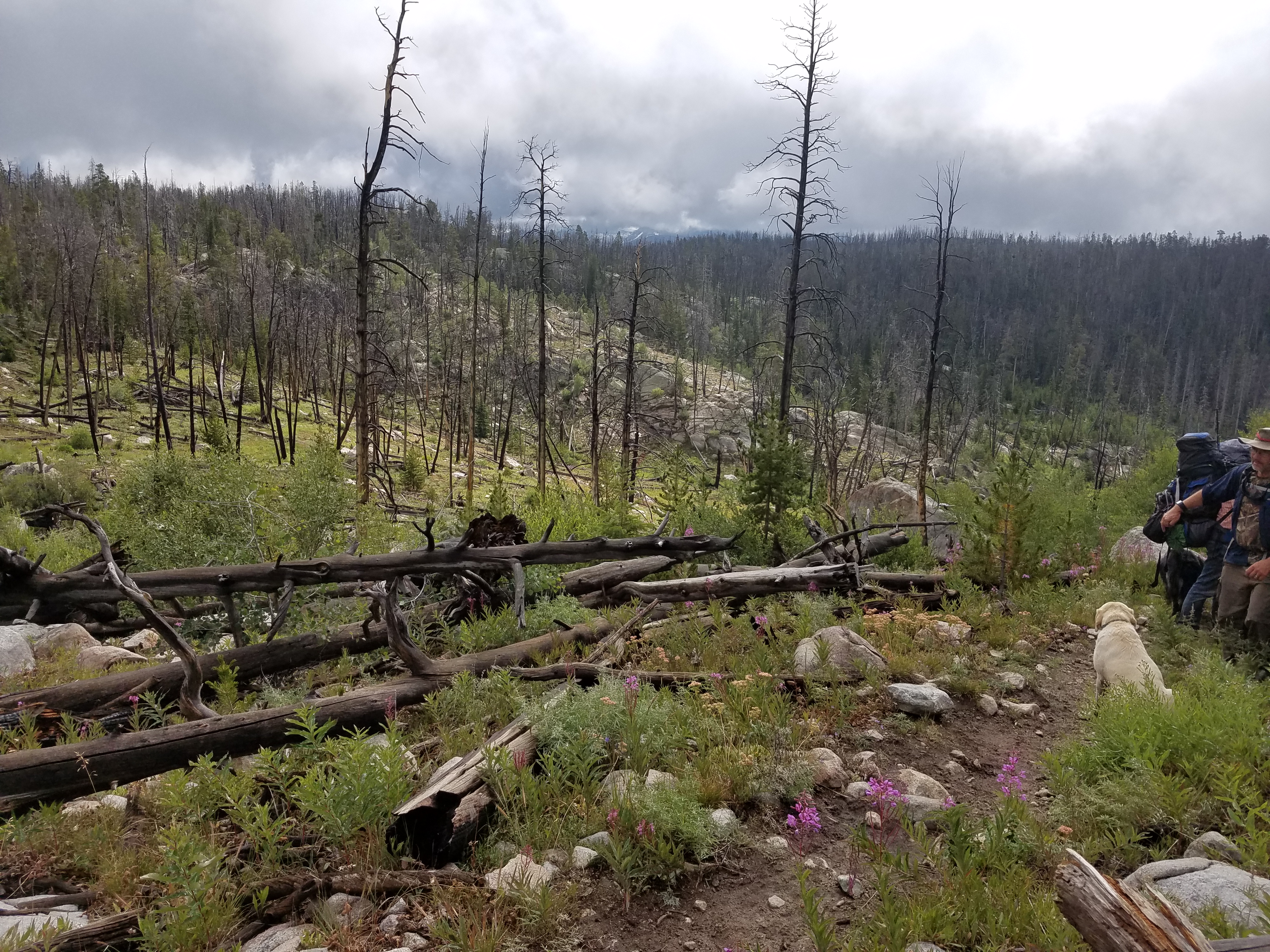 2017 Wind River Trip - Day 8 - Coyote Lake to Boulder Lake, Ethan's Exploding Pillow, Grizzly Bear Challenge, Dead Car Battery & Broken Key, Wind River Brewing Company, Toilet (Wind River Range, Wyoming)