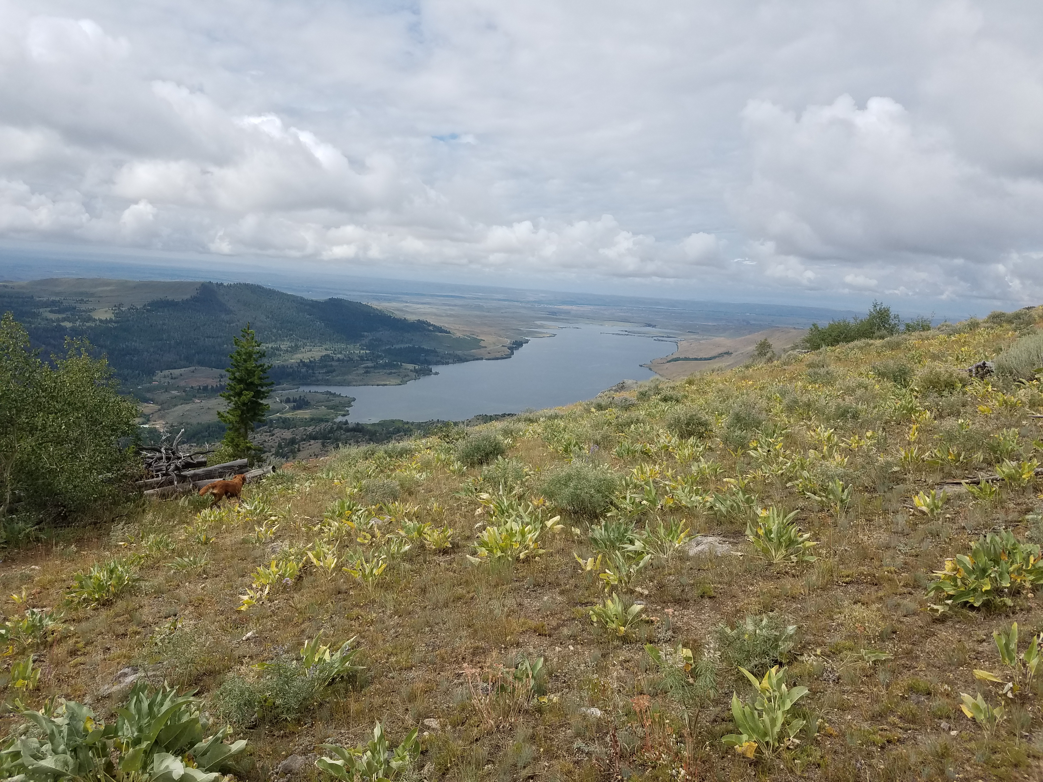 2017 Wind River Trip - Day 8 - Coyote Lake to Boulder Lake, Ethan's Exploding Pillow, Grizzly Bear Challenge, Dead Car Battery & Broken Key, Wind River Brewing Company, Toilet (Wind River Range, Wyoming)