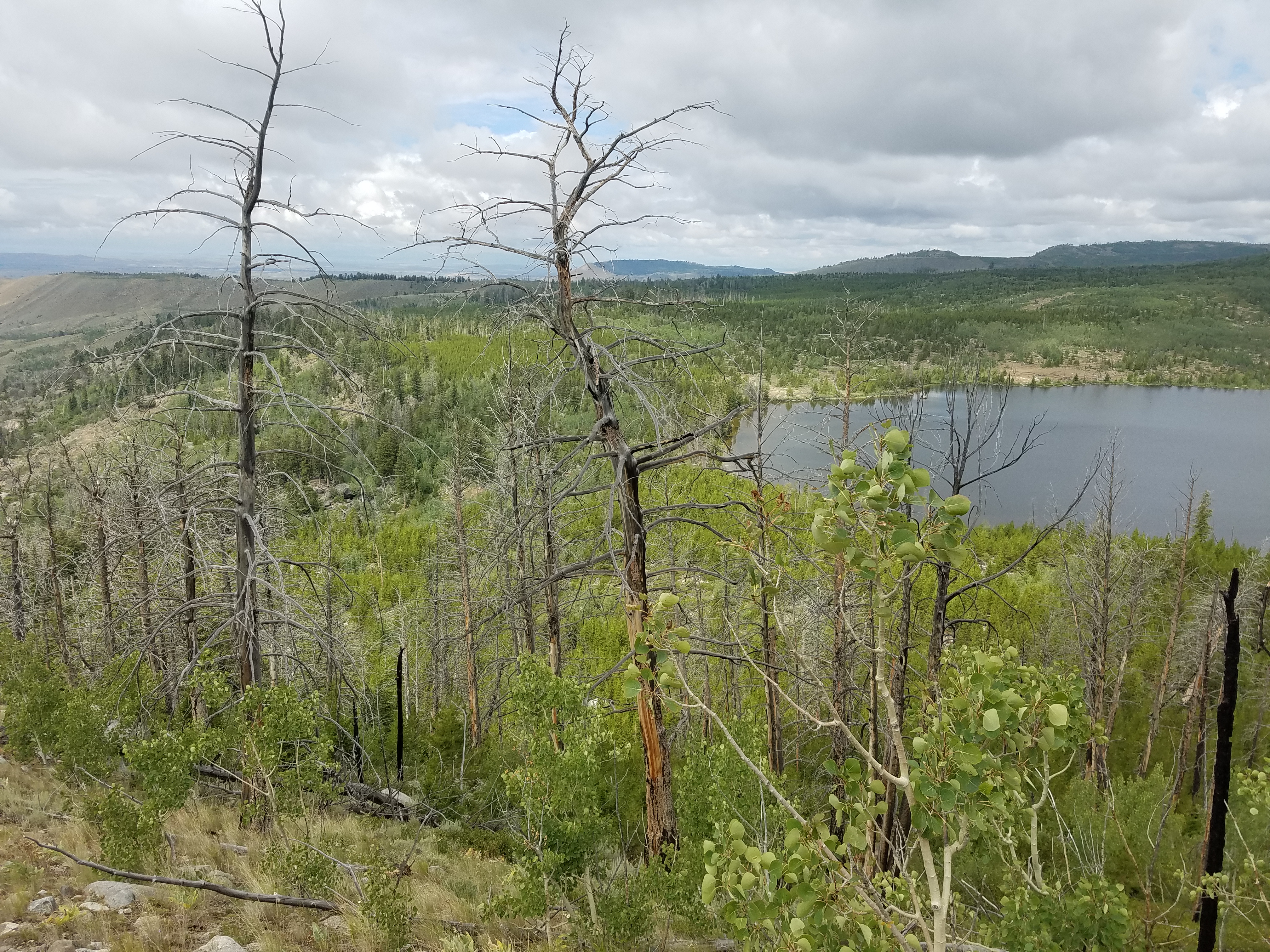 2017 Wind River Trip - Day 8 - Coyote Lake to Boulder Lake, Ethan's Exploding Pillow, Grizzly Bear Challenge, Dead Car Battery & Broken Key, Wind River Brewing Company, Toilet (Wind River Range, Wyoming)