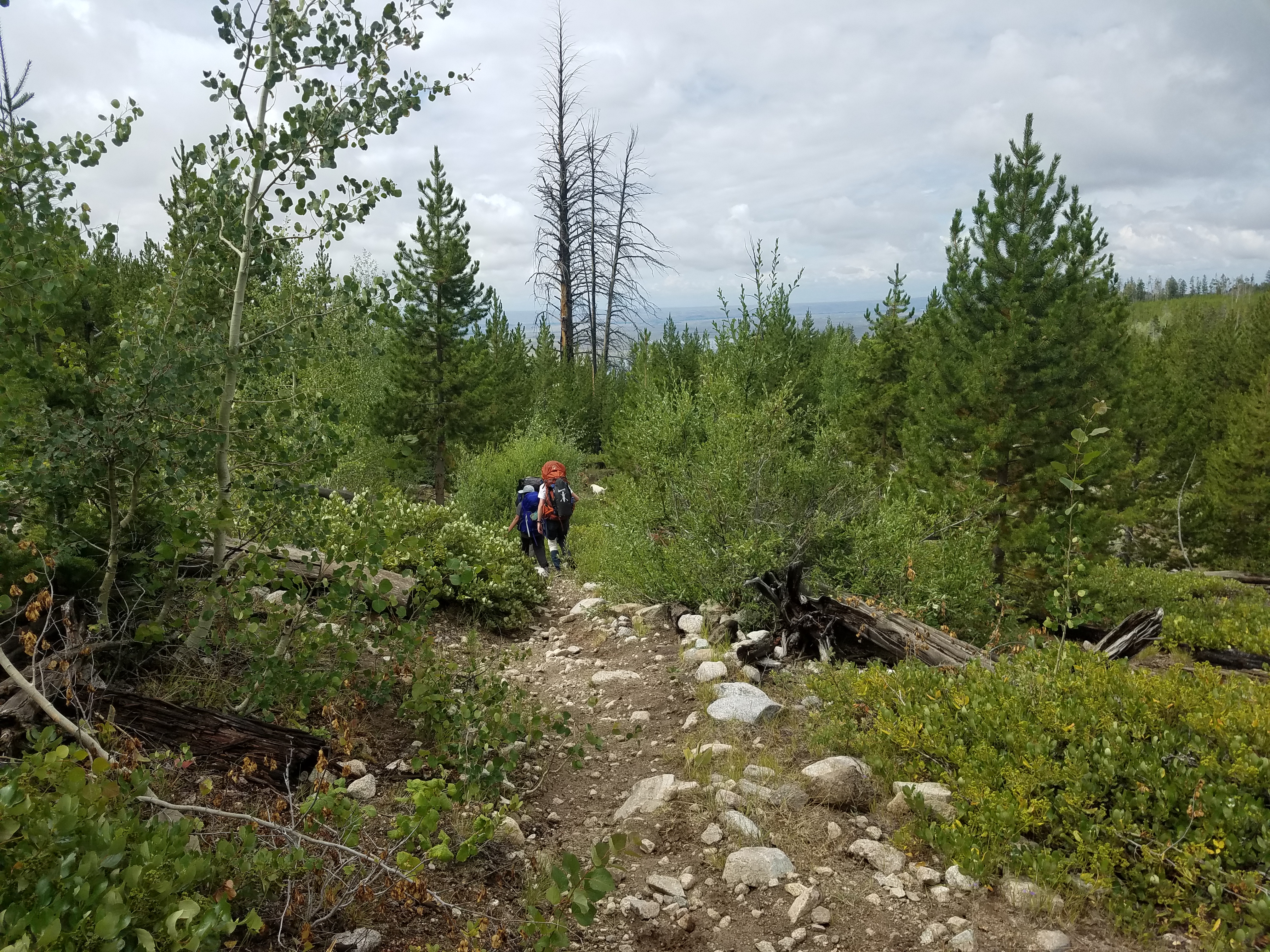 2017 Wind River Trip - Day 8 - Coyote Lake to Boulder Lake, Ethan's Exploding Pillow, Grizzly Bear Challenge, Dead Car Battery & Broken Key, Wind River Brewing Company, Toilet (Wind River Range, Wyoming)