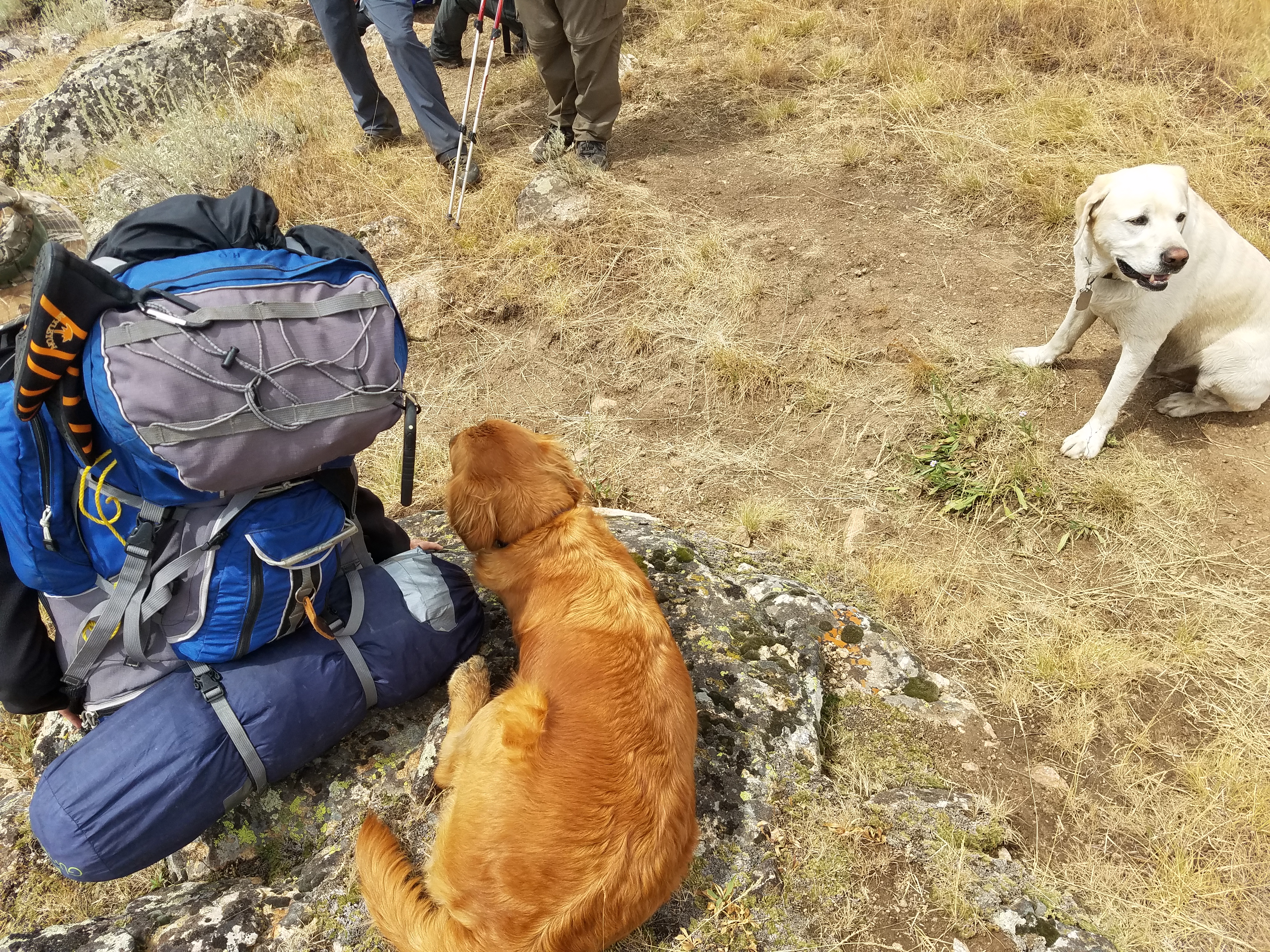 2017 Wind River Trip - Day 8 - Coyote Lake to Boulder Lake, Ethan's Exploding Pillow, Grizzly Bear Challenge, Dead Car Battery & Broken Key, Wind River Brewing Company, Toilet (Wind River Range, Wyoming)