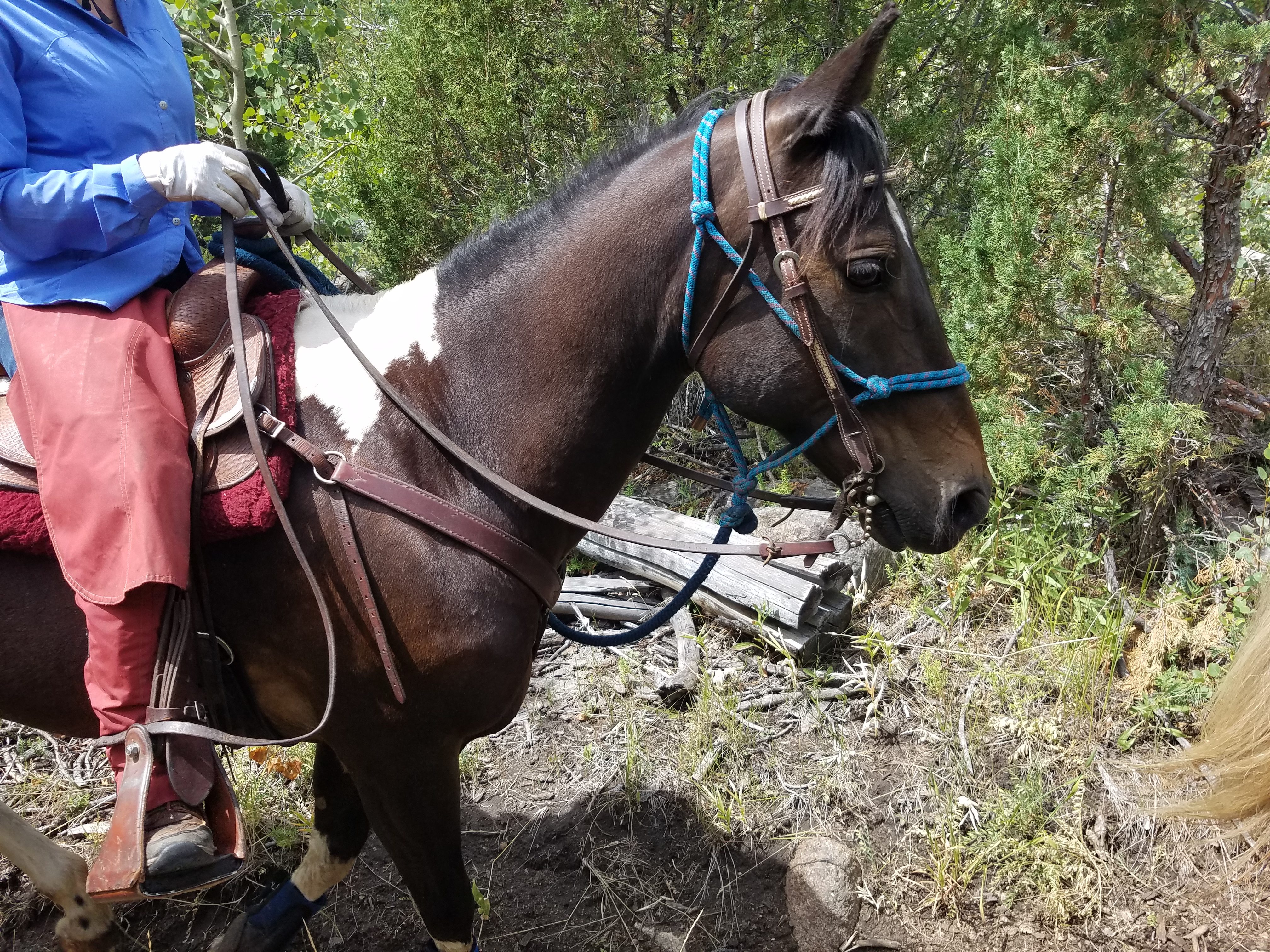 2017 Wind River Trip - Day 8 - Coyote Lake to Boulder Lake, Ethan's Exploding Pillow, Grizzly Bear Challenge, Dead Car Battery & Broken Key, Wind River Brewing Company, Toilet (Wind River Range, Wyoming)