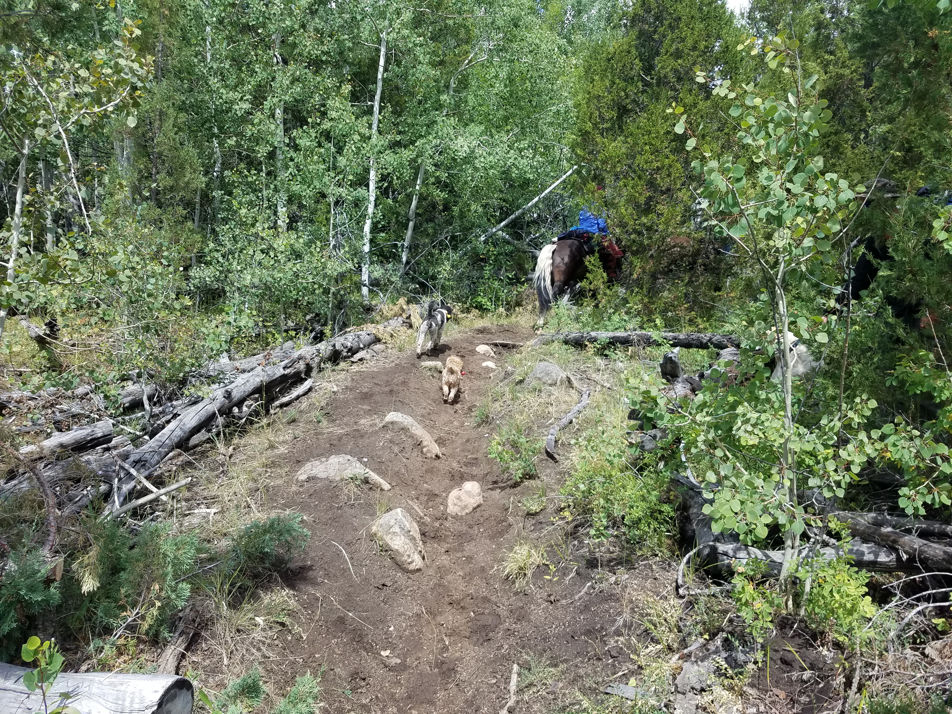 2017 Wind River Trip - Day 8 - Coyote Lake to Boulder Lake, Ethan's Exploding Pillow, Grizzly Bear Challenge, Dead Car Battery & Broken Key, Wind River Brewing Company, Toilet (Wind River Range, Wyoming)