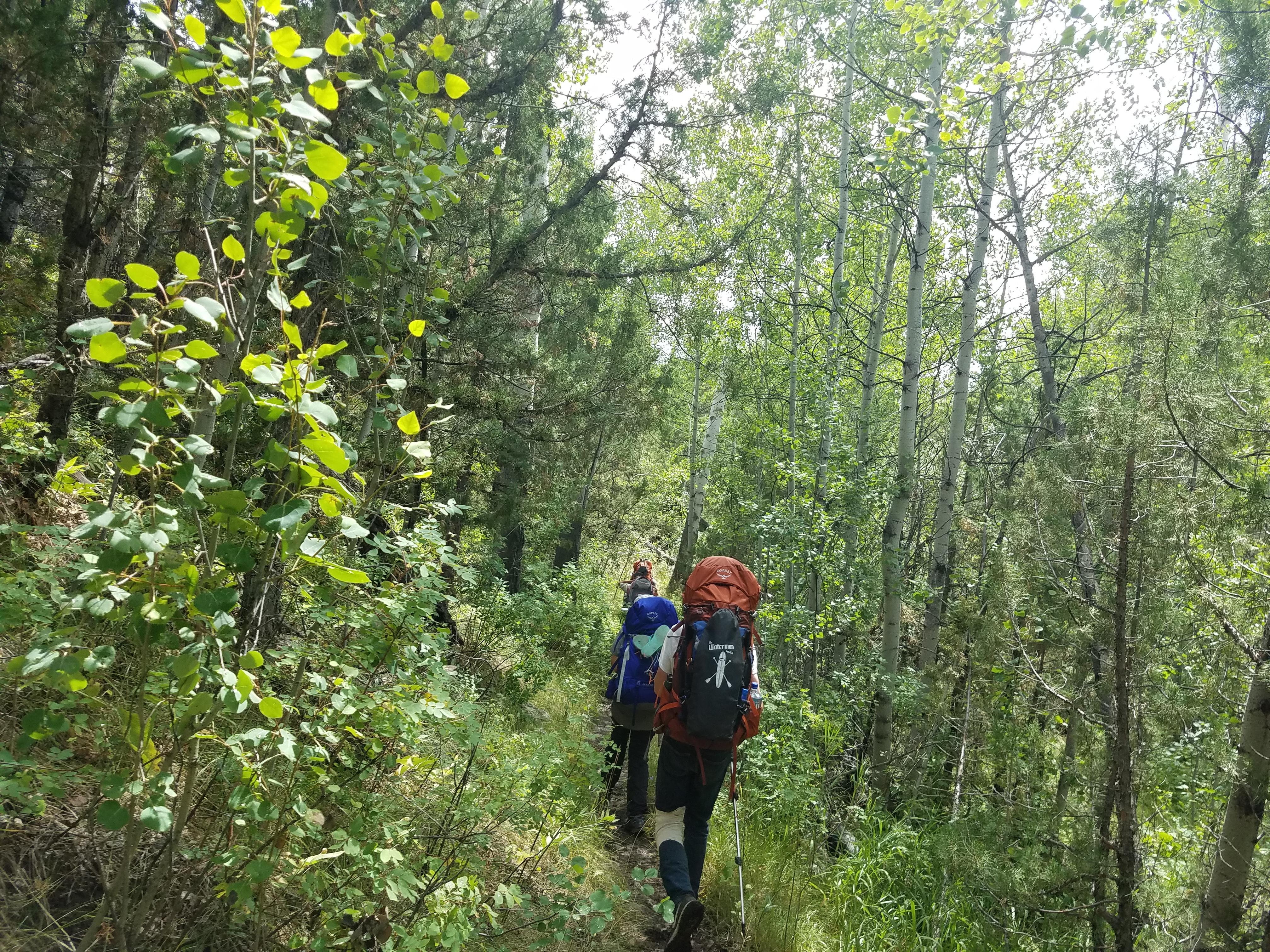 2017 Wind River Trip - Day 8 - Coyote Lake to Boulder Lake, Ethan's Exploding Pillow, Grizzly Bear Challenge, Dead Car Battery & Broken Key, Wind River Brewing Company, Toilet (Wind River Range, Wyoming)