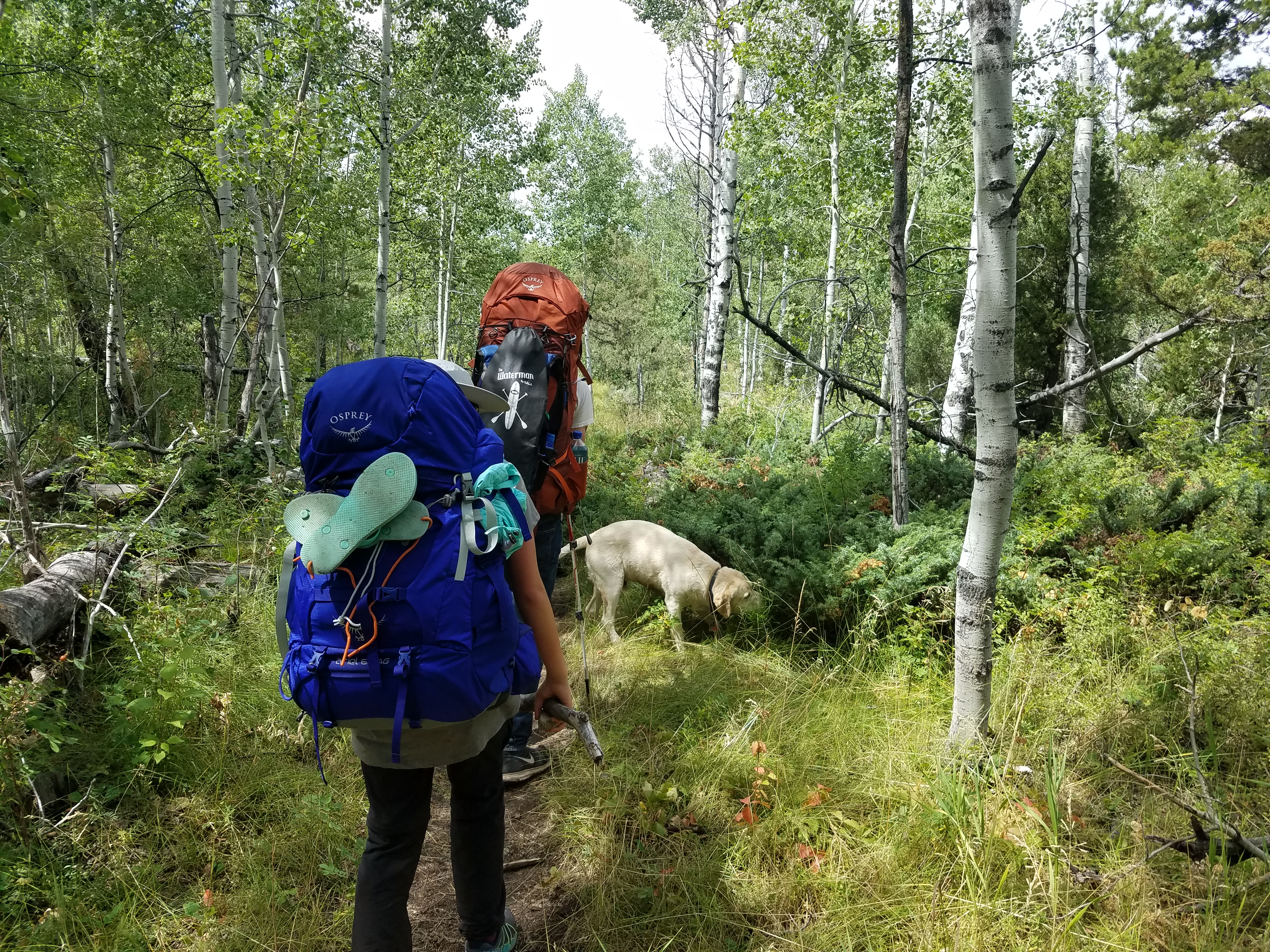 2017 Wind River Trip - Day 8 - Coyote Lake to Boulder Lake, Ethan's Exploding Pillow, Grizzly Bear Challenge, Dead Car Battery & Broken Key, Wind River Brewing Company, Toilet (Wind River Range, Wyoming)