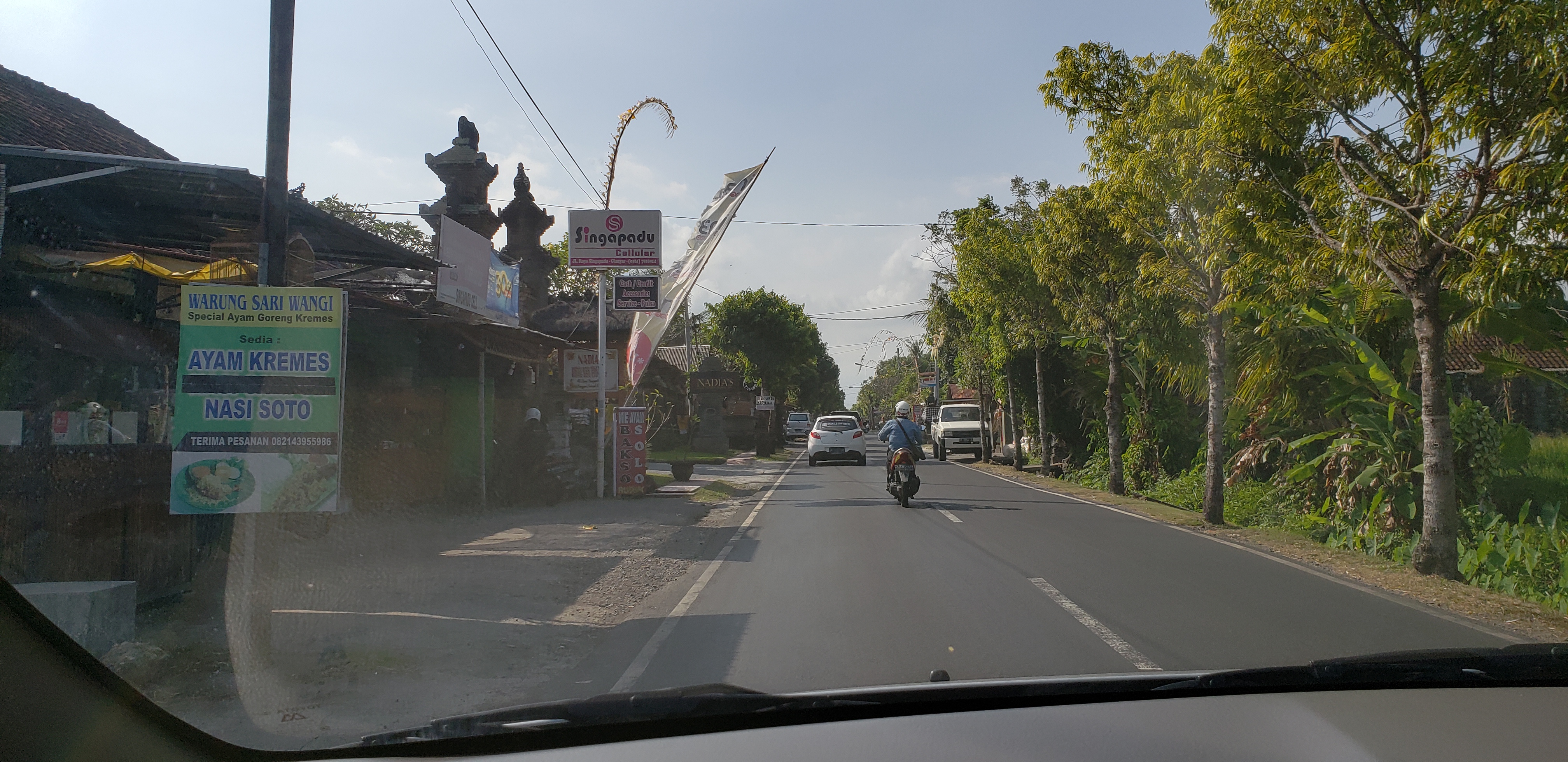 2018 Southesat Asia Trip Day 4 - Ubud, Bali, Indonesia (Satori Villas - Wayan & Ketut, Ubud Rice Fields, Fireflies, Sweet Orange Warung, Geckos, Swimming at the Villa)