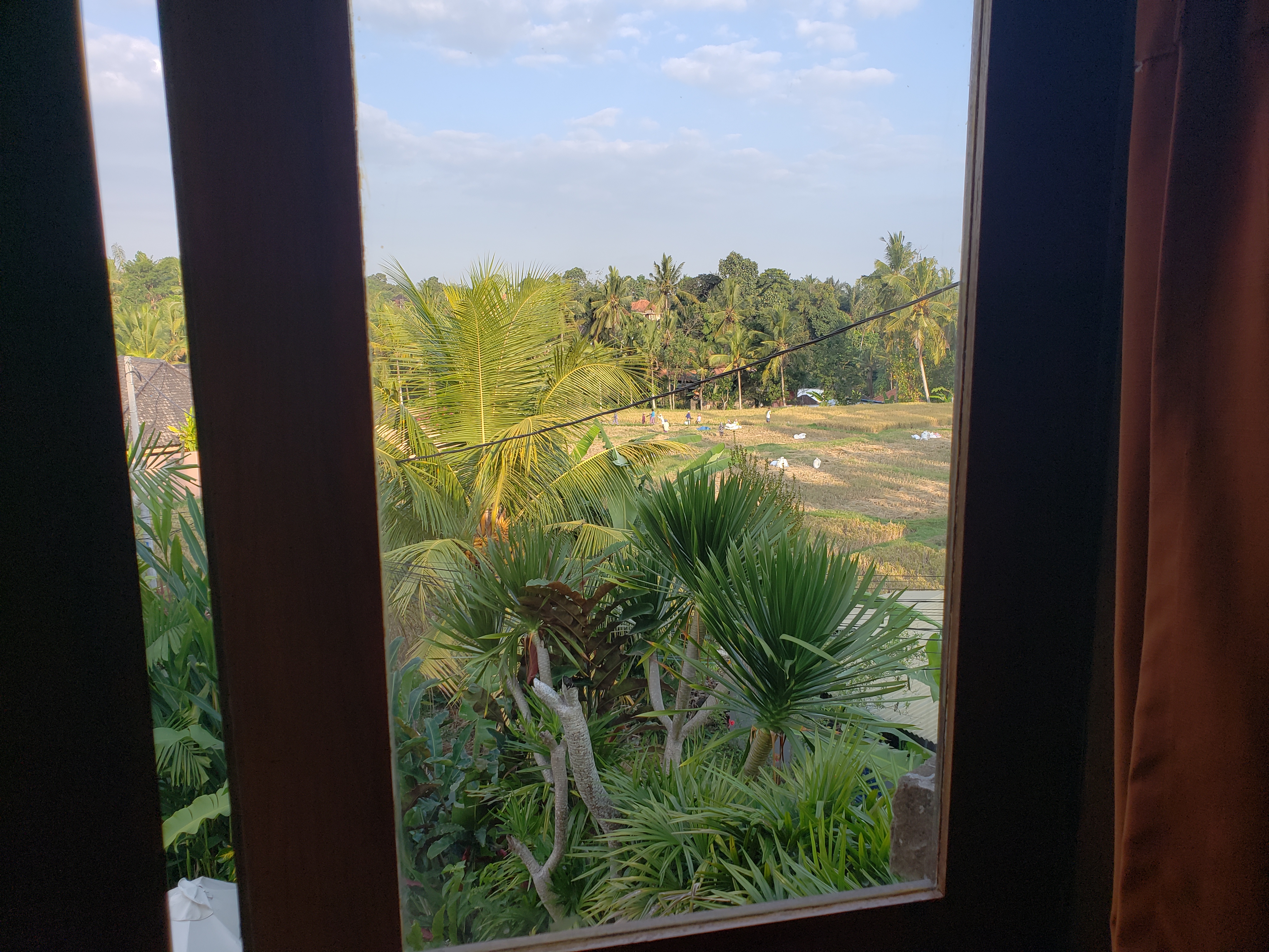 2018 Southesat Asia Trip Day 4 - Ubud, Bali, Indonesia (Satori Villas - Wayan & Ketut, Ubud Rice Fields, Fireflies, Sweet Orange Warung, Geckos, Swimming at the Villa)