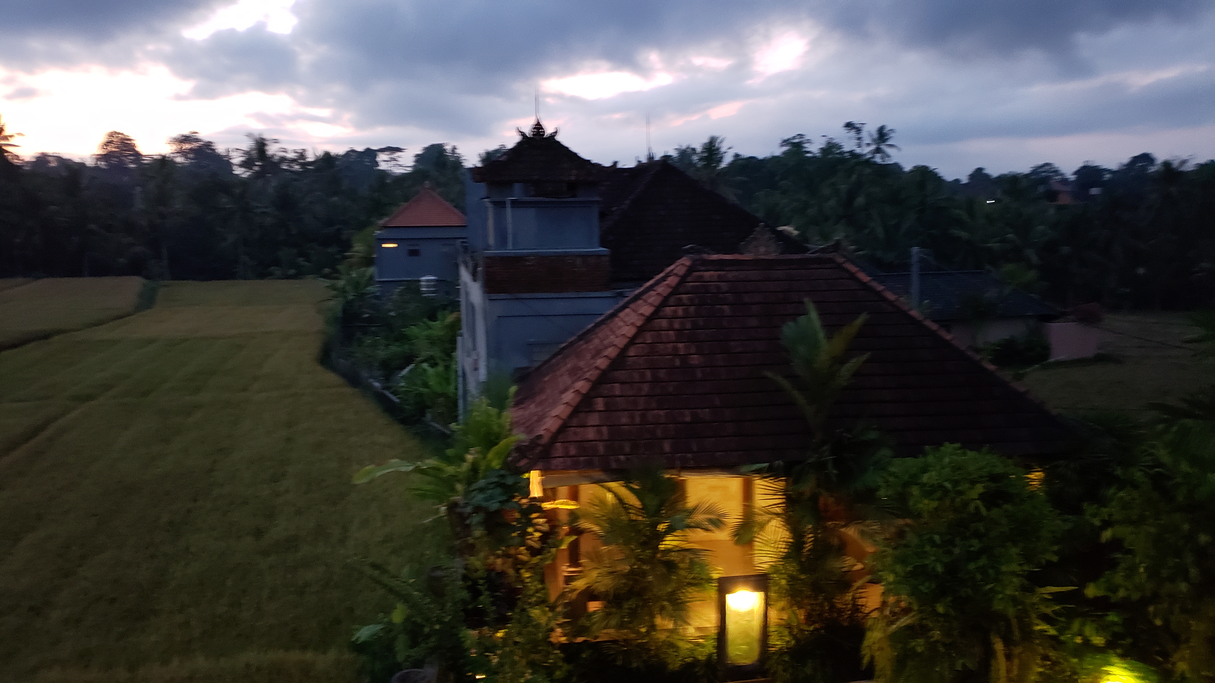 2018 Southeast Asia Trip Day 6 - Ubud, Bali, Indonesia (Mount Agung Volcano in Distance, Tegallalang Rice Terraces, Tirta Empul (Hindu Balinese Water Temple), Wearing Sarongs, Satria Agrowisata Coffee Plantation, Civet Cat Poop, Tibumana Waterfall)