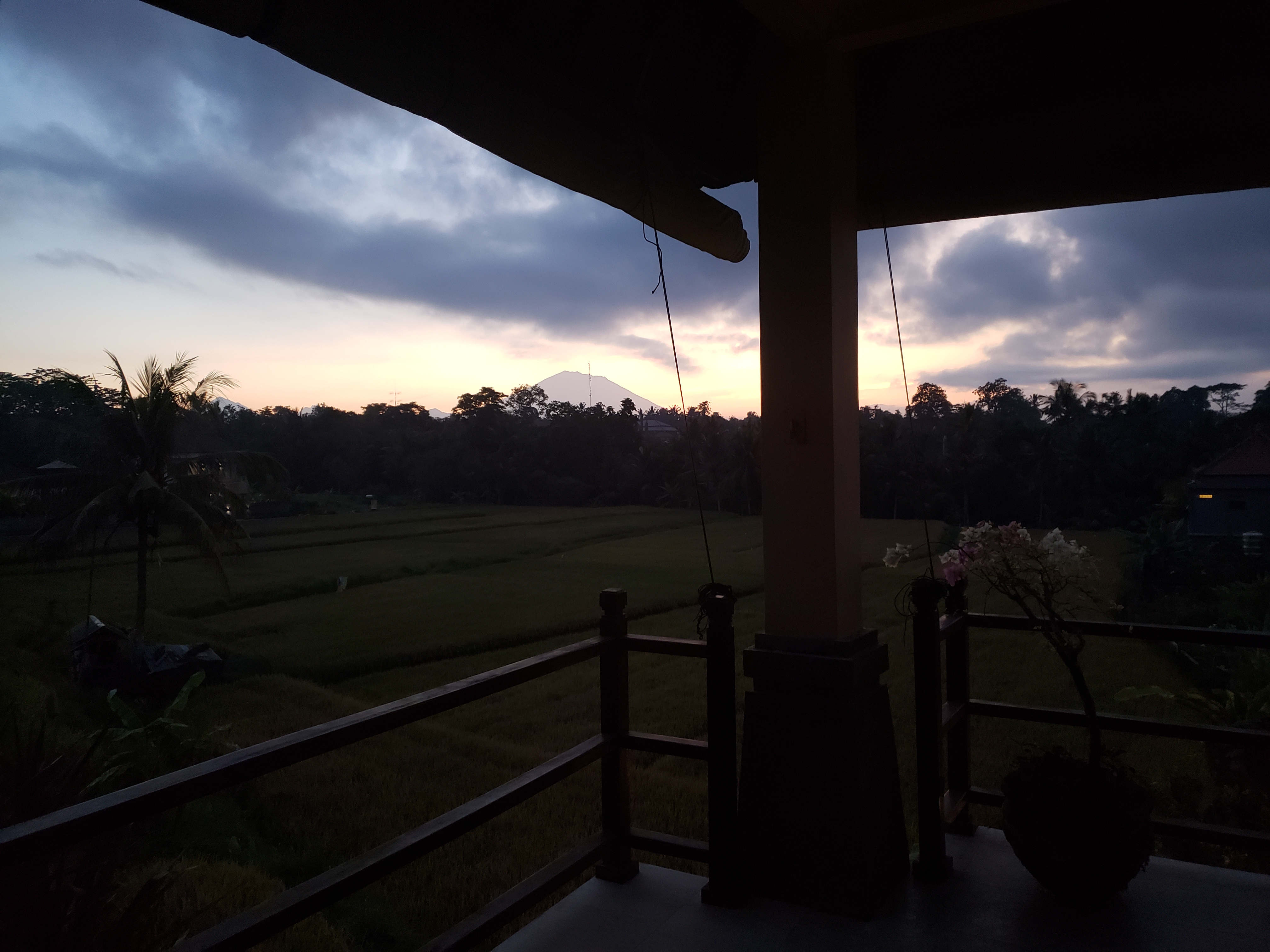 2018 Southeast Asia Trip Day 6 - Ubud, Bali, Indonesia (Mount Agung Volcano in Distance, Tegallalang Rice Terraces, Tirta Empul (Hindu Balinese Water Temple), Wearing Sarongs, Satria Agrowisata Coffee Plantation, Civet Cat Poop, Tibumana Waterfall)