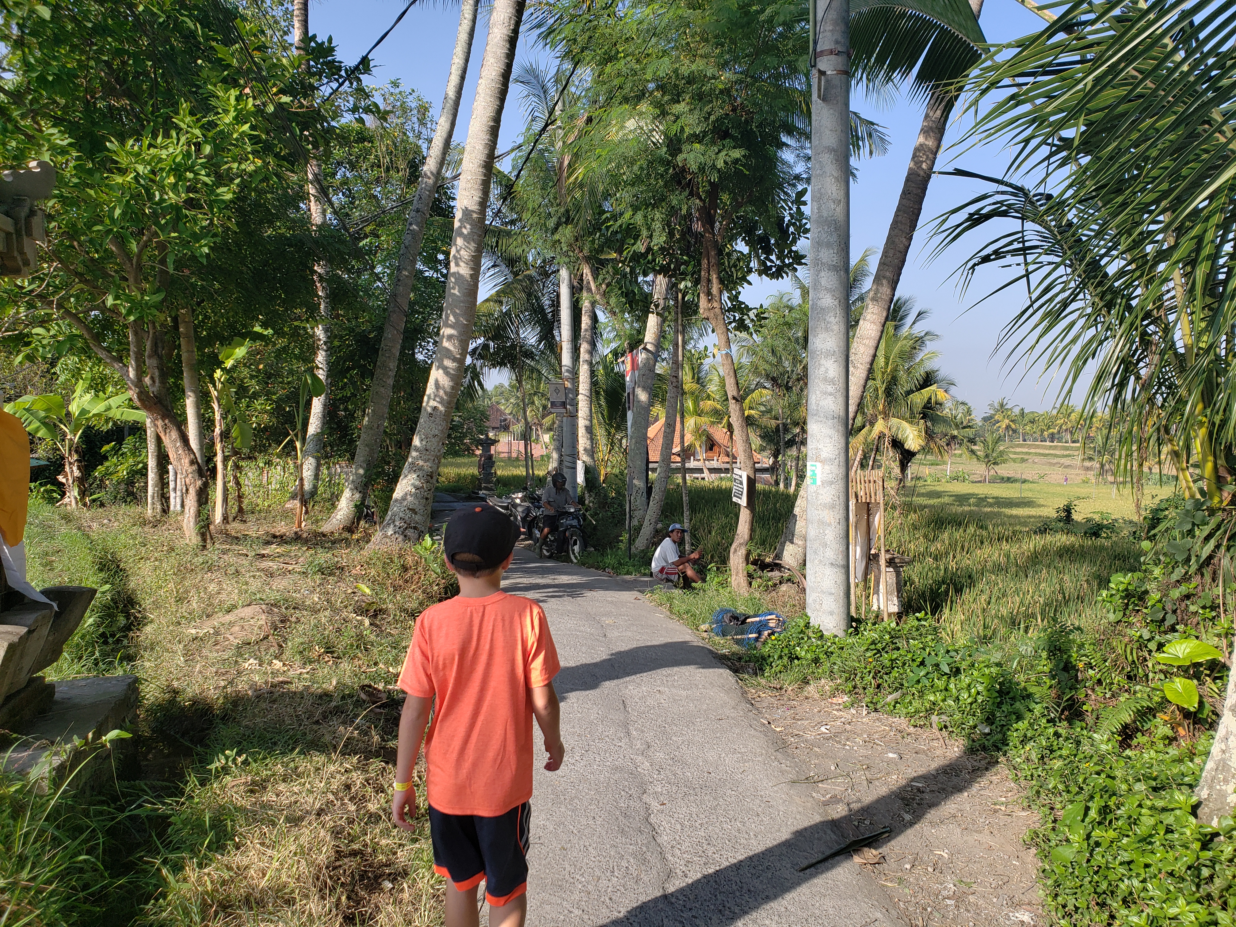 2018 Southeast Asia Trip Day 6 - Ubud, Bali, Indonesia (Mount Agung Volcano in Distance, Tegallalang Rice Terraces, Tirta Empul (Hindu Balinese Water Temple), Wearing Sarongs, Satria Agrowisata Coffee Plantation, Civet Cat Poop, Tibumana Waterfall)