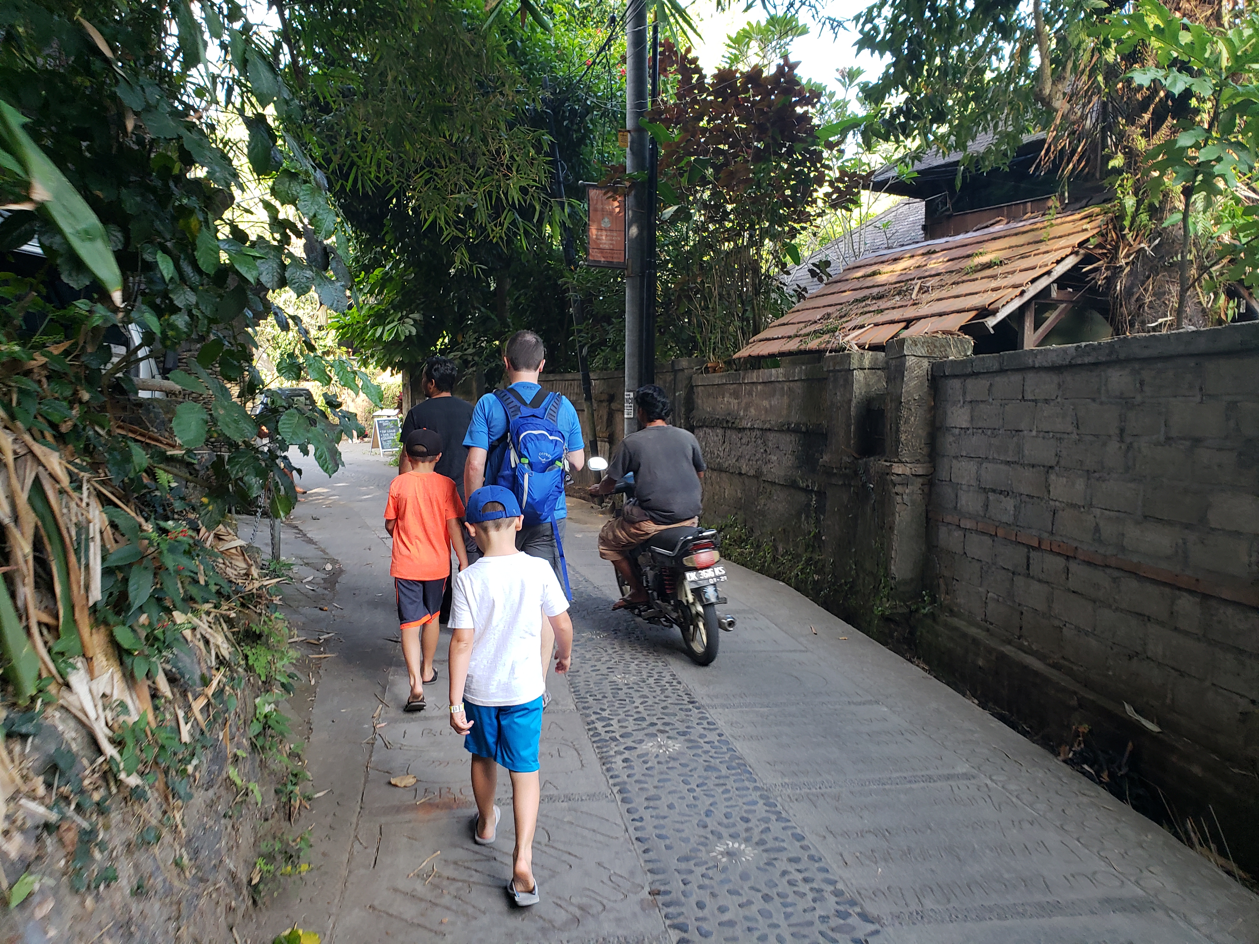 2018 Southeast Asia Trip Day 6 - Ubud, Bali, Indonesia (Mount Agung Volcano in Distance, Tegallalang Rice Terraces, Tirta Empul (Hindu Balinese Water Temple), Wearing Sarongs, Satria Agrowisata Coffee Plantation, Civet Cat Poop, Tibumana Waterfall)