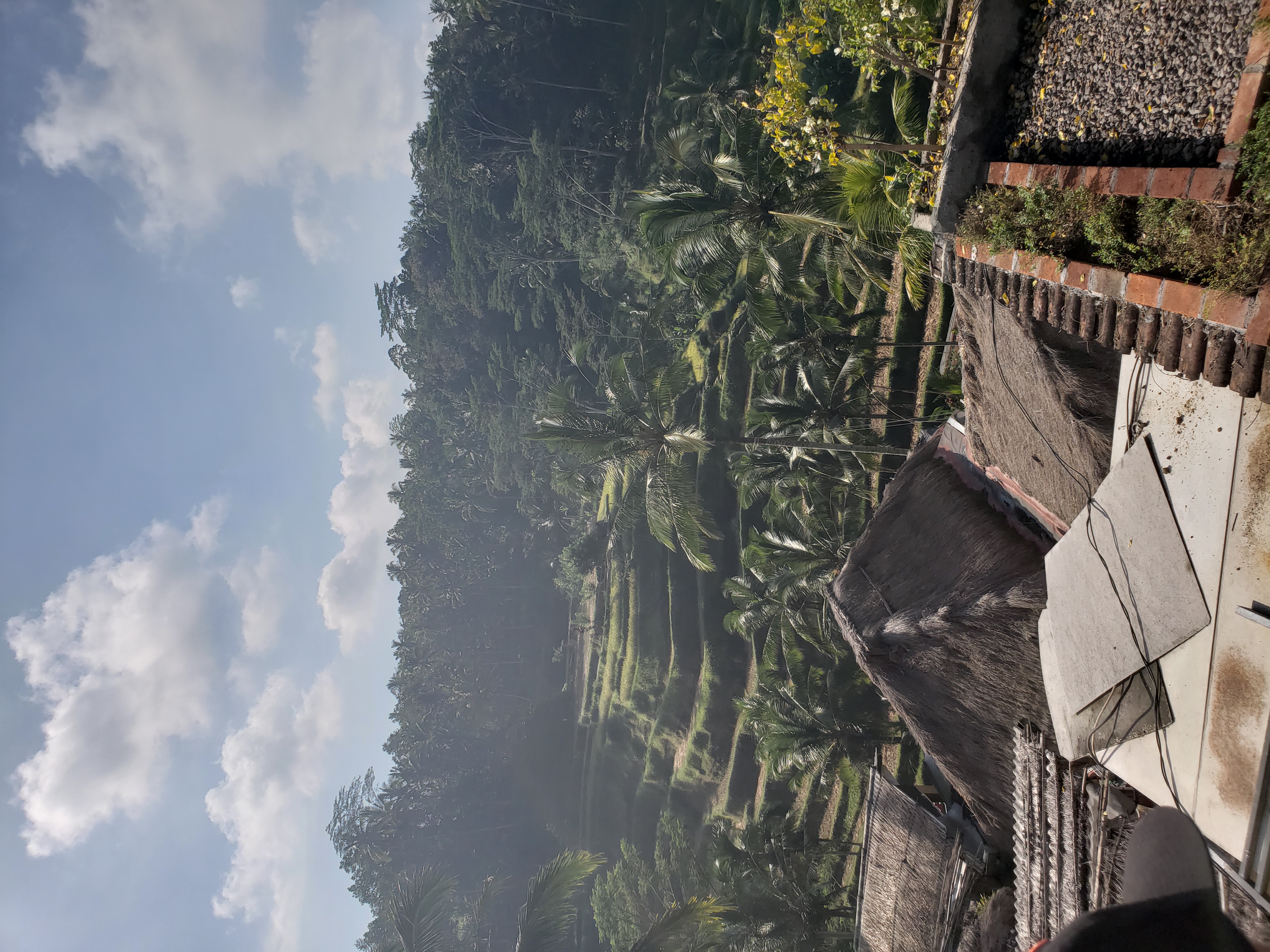 2018 Southeast Asia Trip Day 6 - Ubud, Bali, Indonesia (Mount Agung Volcano in Distance, Tegallalang Rice Terraces, Tirta Empul (Hindu Balinese Water Temple), Wearing Sarongs, Satria Agrowisata Coffee Plantation, Civet Cat Poop, Tibumana Waterfall)