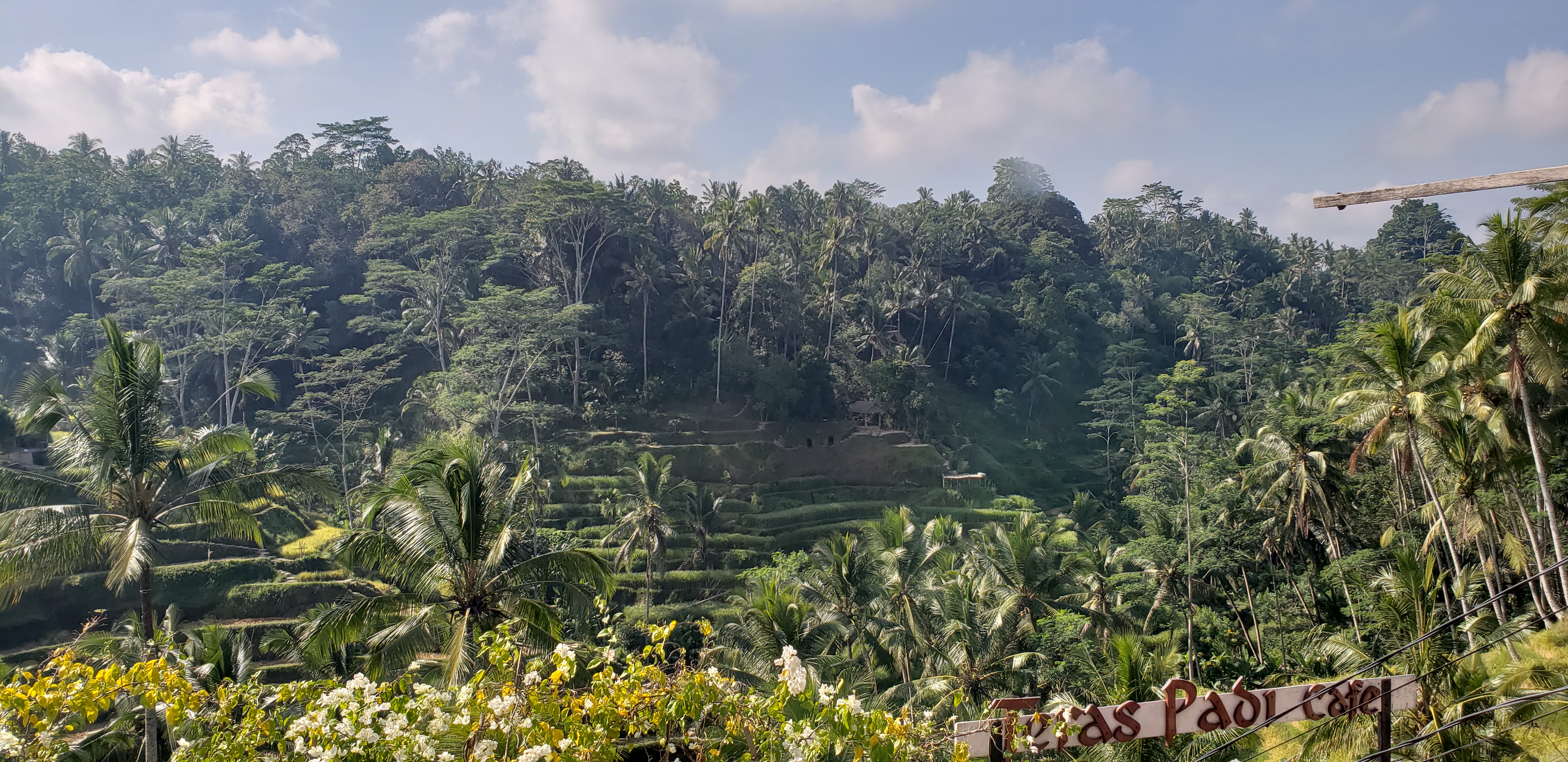 2018 Southeast Asia Trip Day 6 - Ubud, Bali, Indonesia (Mount Agung Volcano in Distance, Tegallalang Rice Terraces, Tirta Empul (Hindu Balinese Water Temple), Wearing Sarongs, Satria Agrowisata Coffee Plantation, Civet Cat Poop, Tibumana Waterfall)