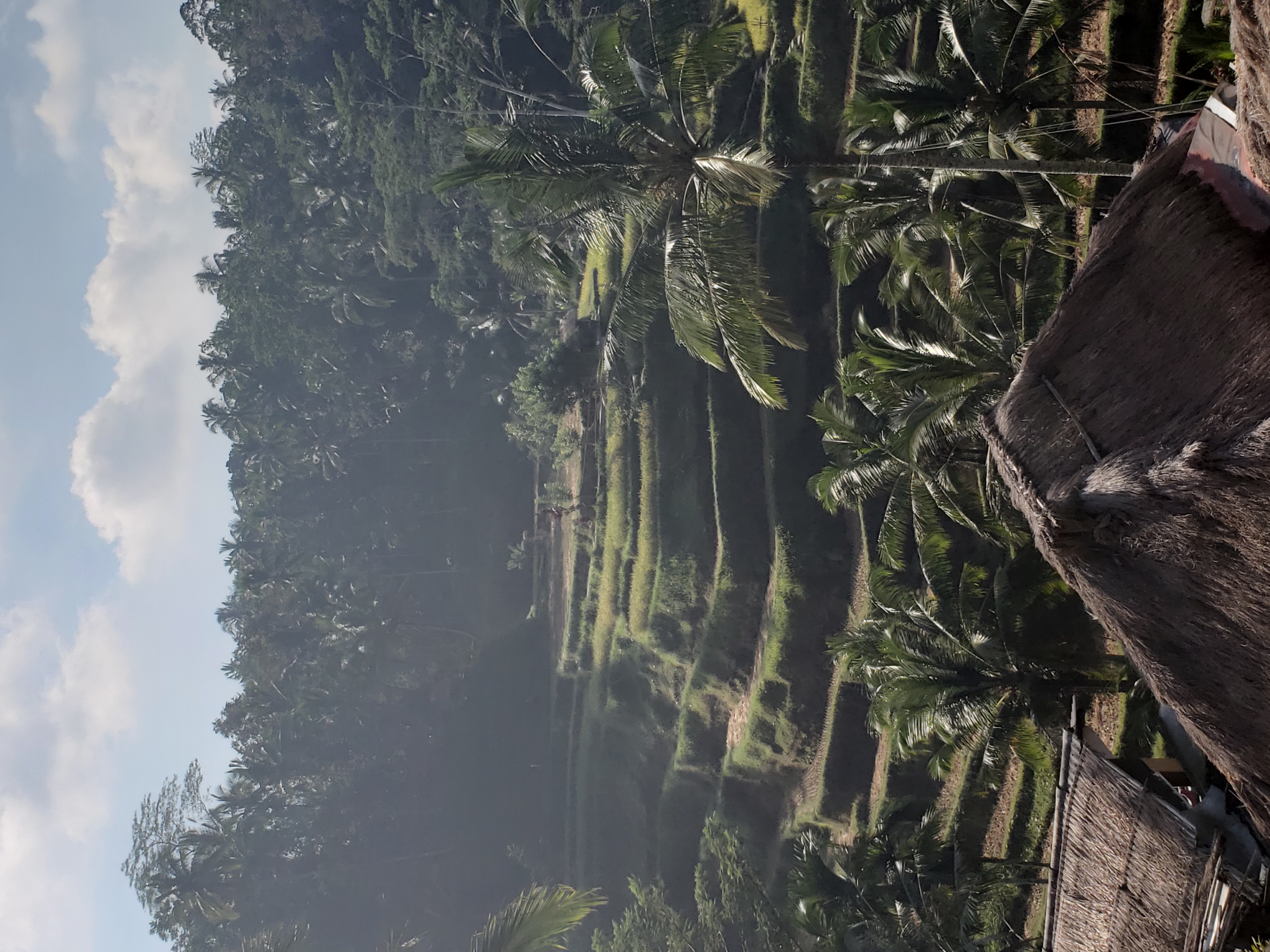 2018 Southeast Asia Trip Day 6 - Ubud, Bali, Indonesia (Mount Agung Volcano in Distance, Tegallalang Rice Terraces, Tirta Empul (Hindu Balinese Water Temple), Wearing Sarongs, Satria Agrowisata Coffee Plantation, Civet Cat Poop, Tibumana Waterfall)