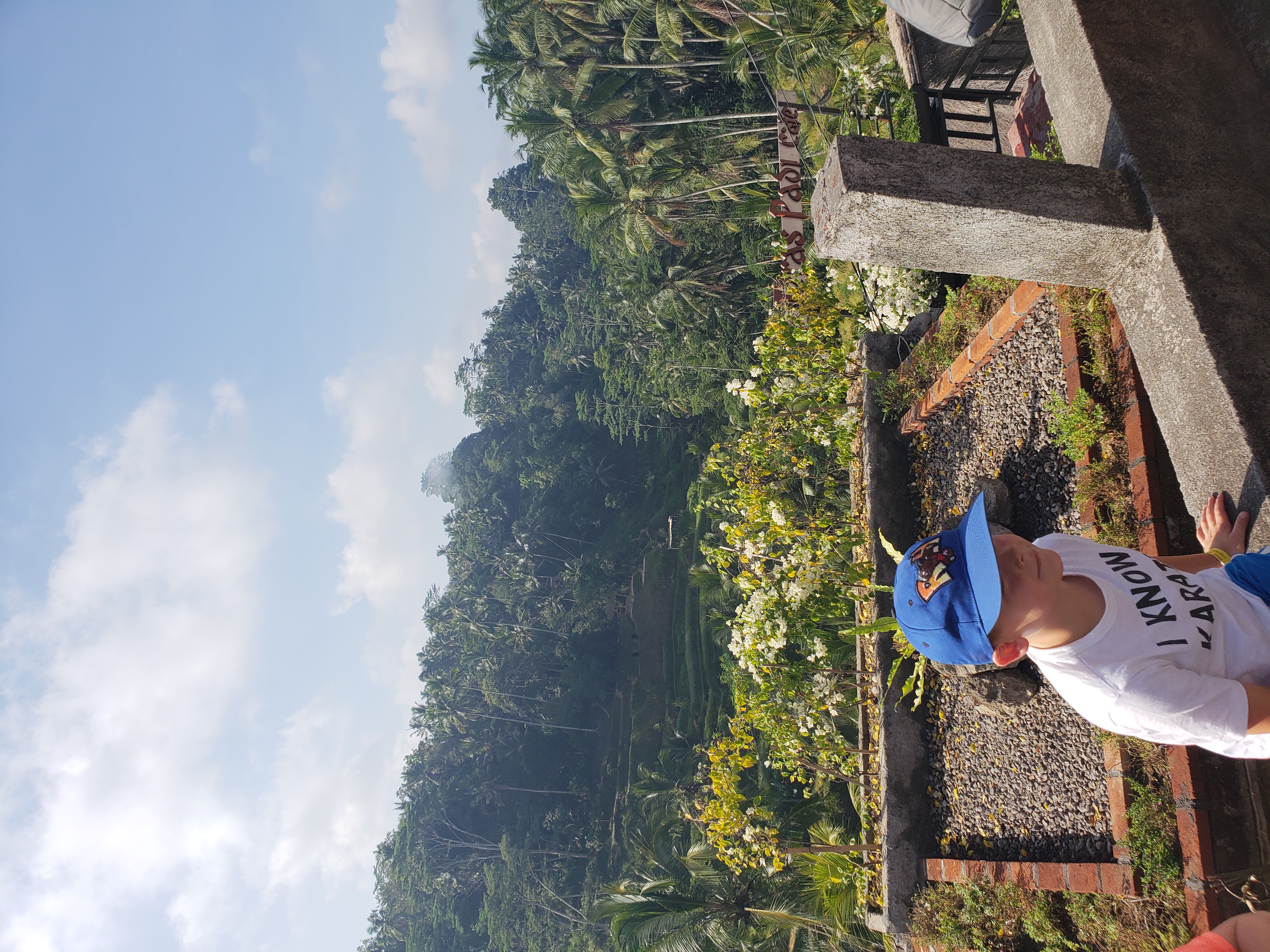 2018 Southeast Asia Trip Day 6 - Ubud, Bali, Indonesia (Mount Agung Volcano in Distance, Tegallalang Rice Terraces, Tirta Empul (Hindu Balinese Water Temple), Wearing Sarongs, Satria Agrowisata Coffee Plantation, Civet Cat Poop, Tibumana Waterfall)