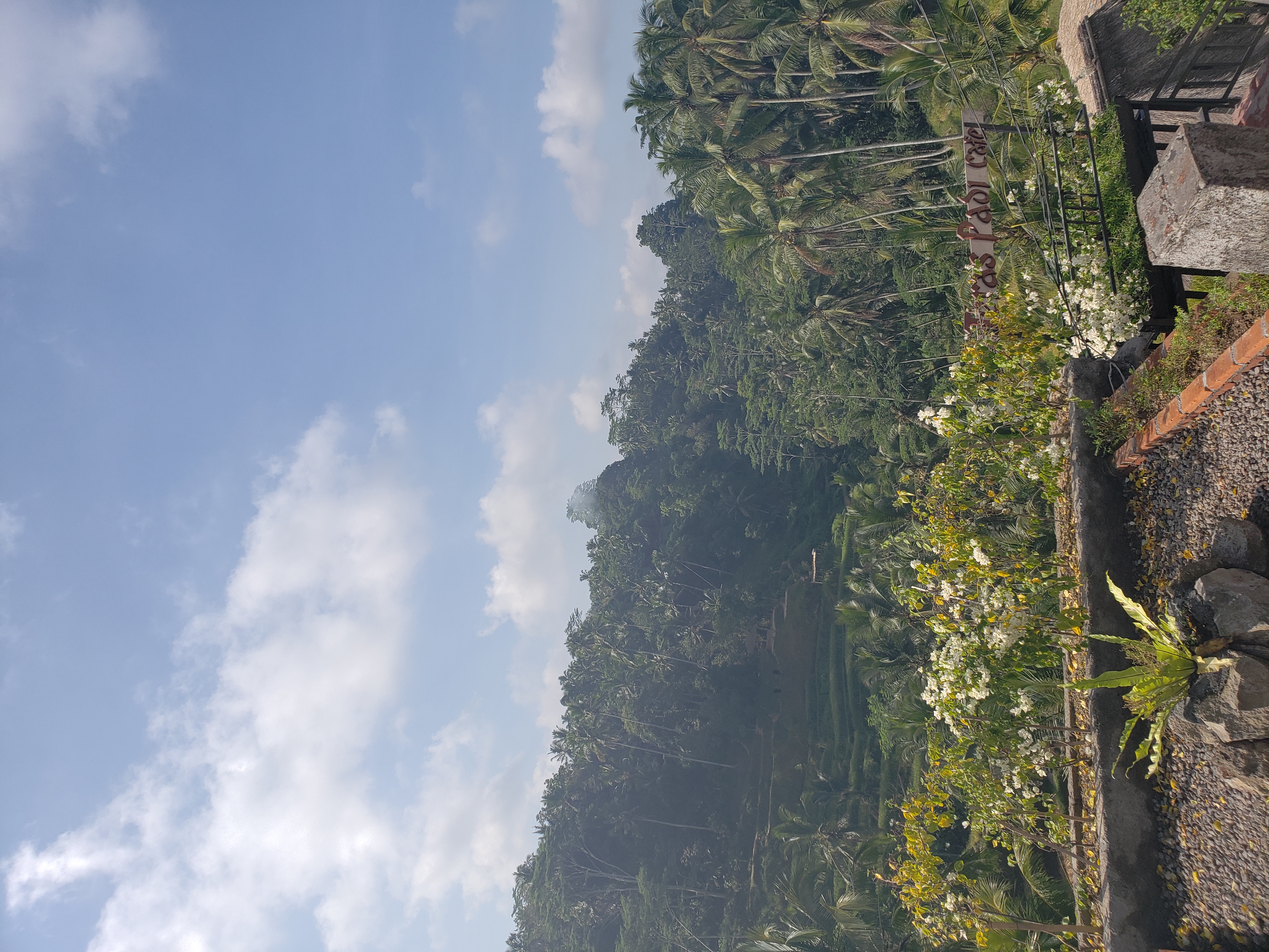 2018 Southeast Asia Trip Day 6 - Ubud, Bali, Indonesia (Mount Agung Volcano in Distance, Tegallalang Rice Terraces, Tirta Empul (Hindu Balinese Water Temple), Wearing Sarongs, Satria Agrowisata Coffee Plantation, Civet Cat Poop, Tibumana Waterfall)