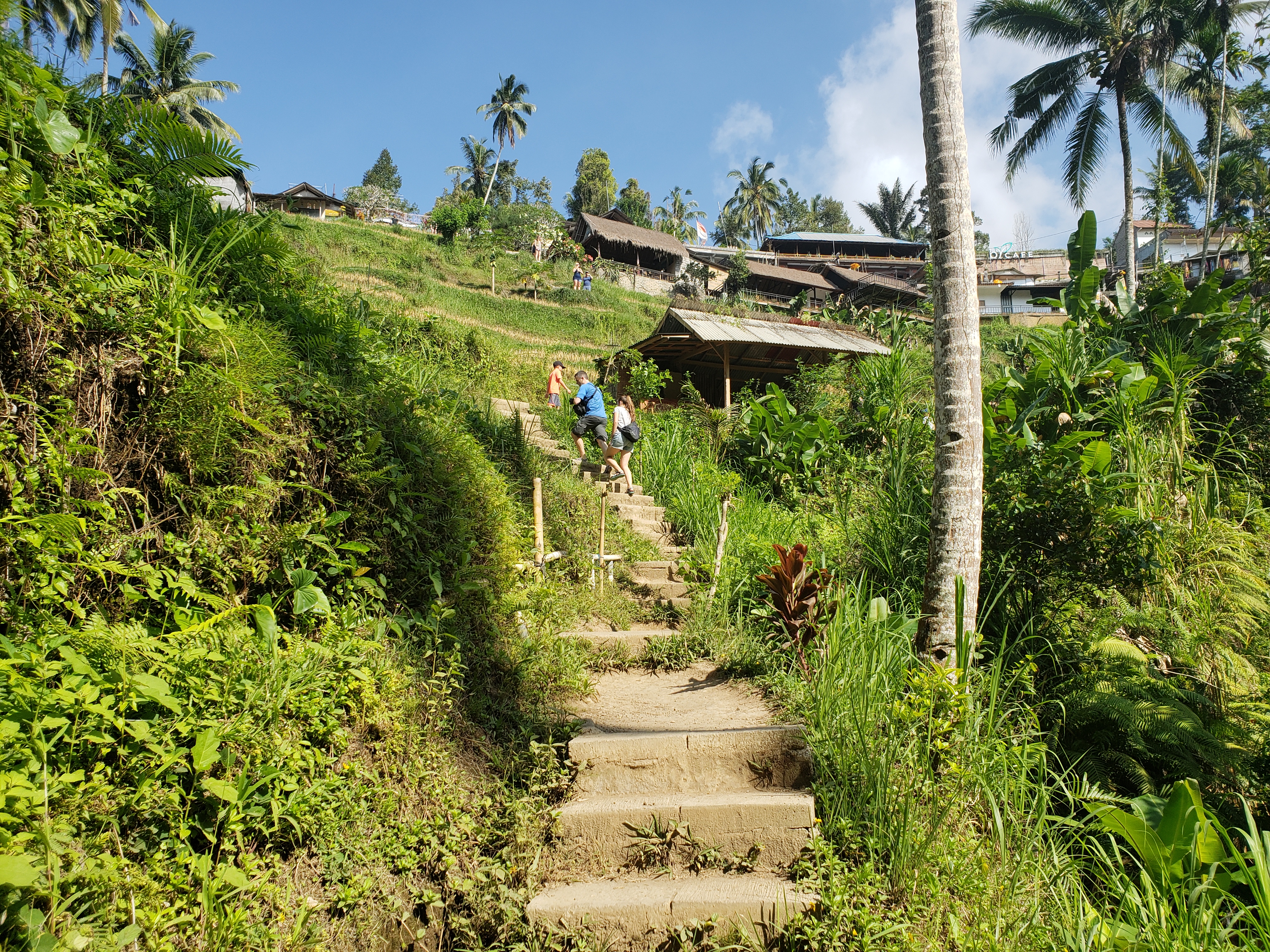 2018 Southeast Asia Trip Day 6 - Ubud, Bali, Indonesia (Mount Agung Volcano in Distance, Tegallalang Rice Terraces, Tirta Empul (Hindu Balinese Water Temple), Wearing Sarongs, Satria Agrowisata Coffee Plantation, Civet Cat Poop, Tibumana Waterfall)