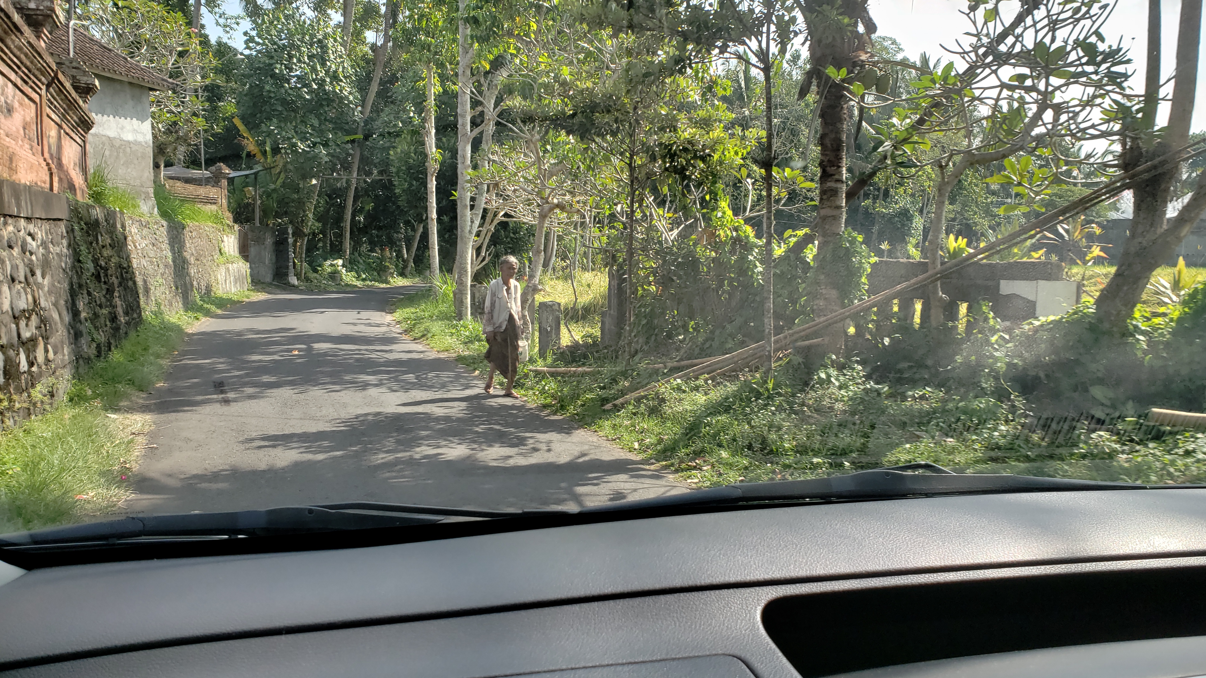 2018 Southeast Asia Trip Day 6 - Ubud, Bali, Indonesia (Mount Agung Volcano in Distance, Tegallalang Rice Terraces, Tirta Empul (Hindu Balinese Water Temple), Wearing Sarongs, Satria Agrowisata Coffee Plantation, Civet Cat Poop, Tibumana Waterfall)